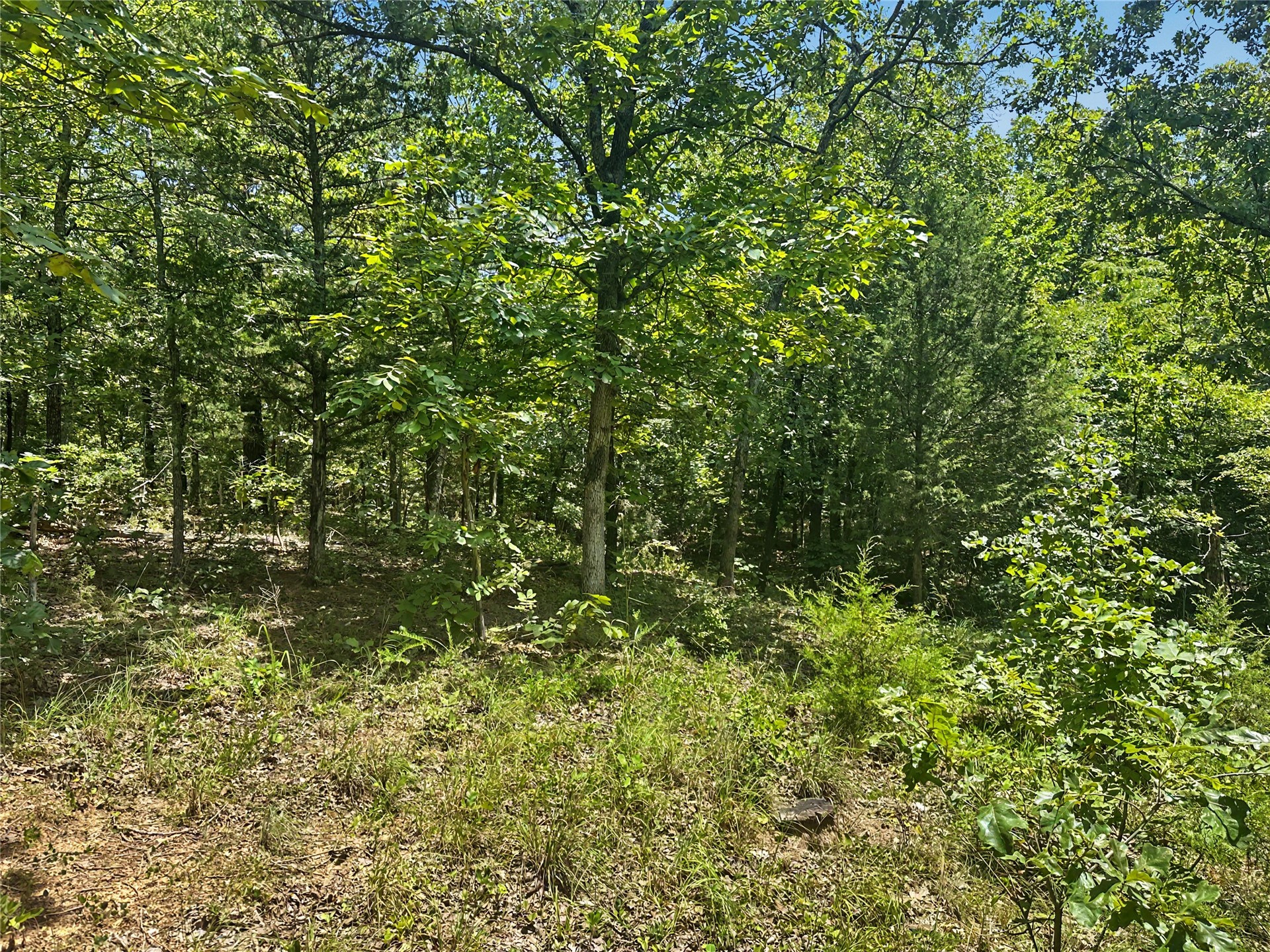36112 S Arrowhead Drive Property Photo 7
