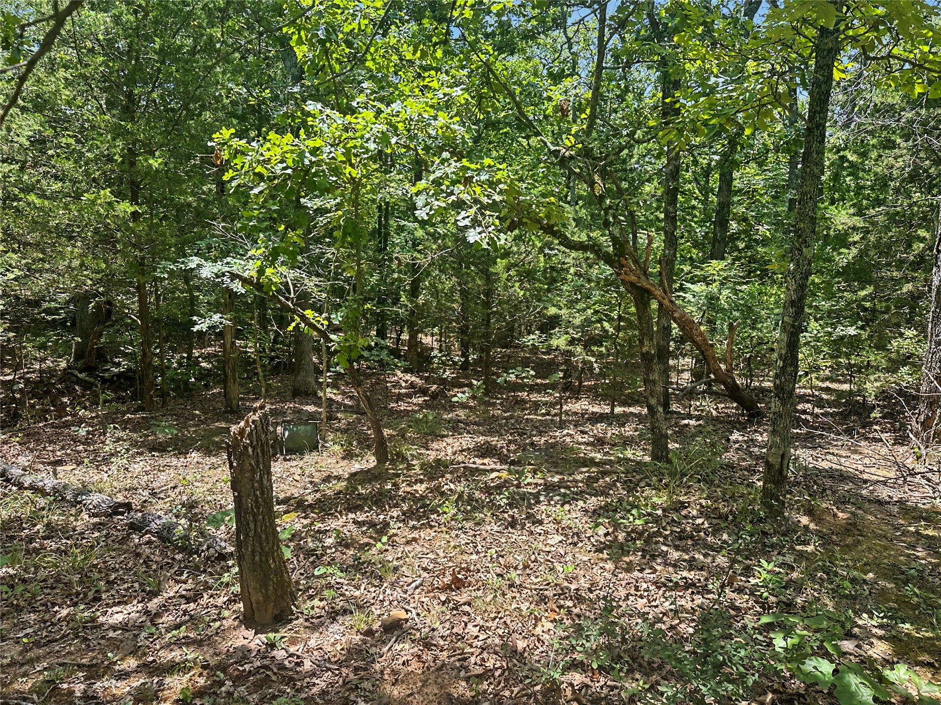 36112 S Arrowhead Drive Property Photo 8