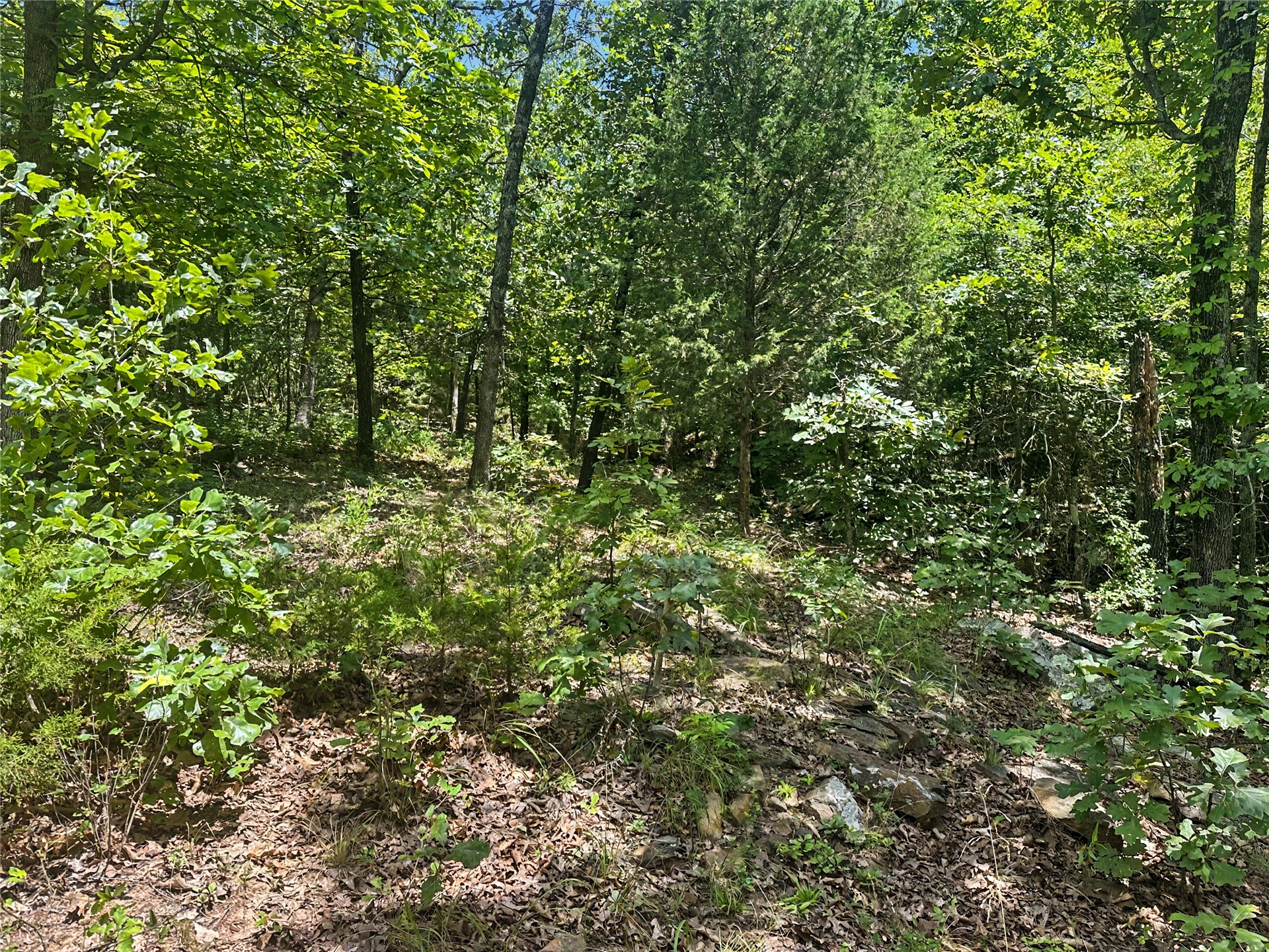 36112 S Arrowhead Drive Property Photo 9