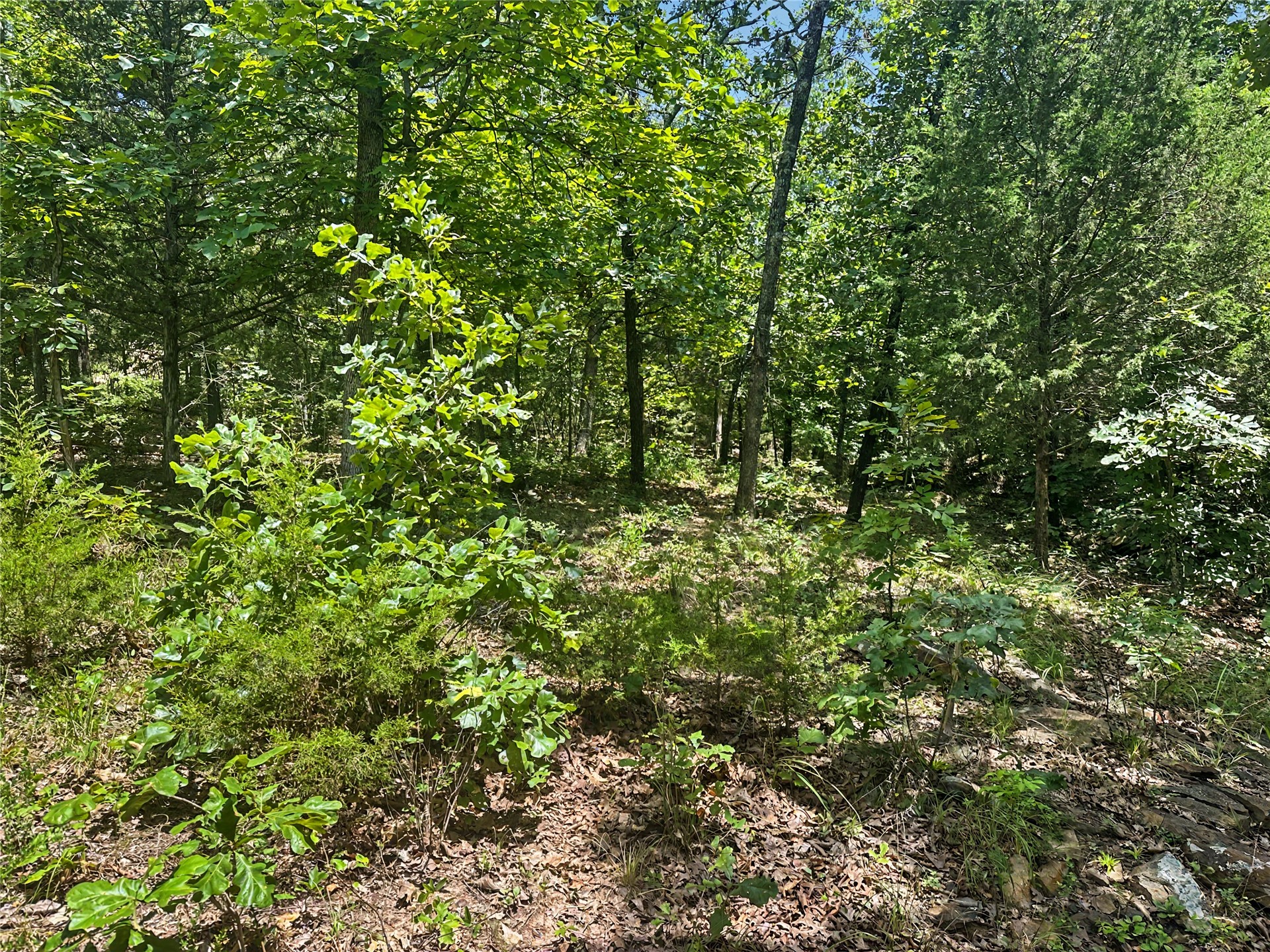 36112 S Arrowhead Drive Property Photo 10