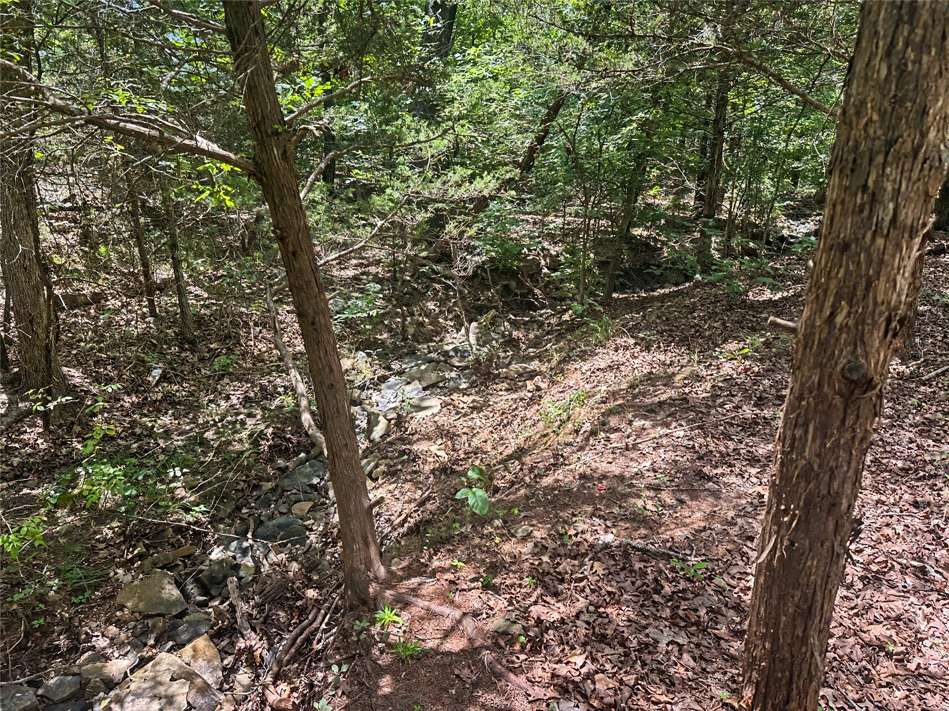 36112 S Arrowhead Drive Property Photo 11