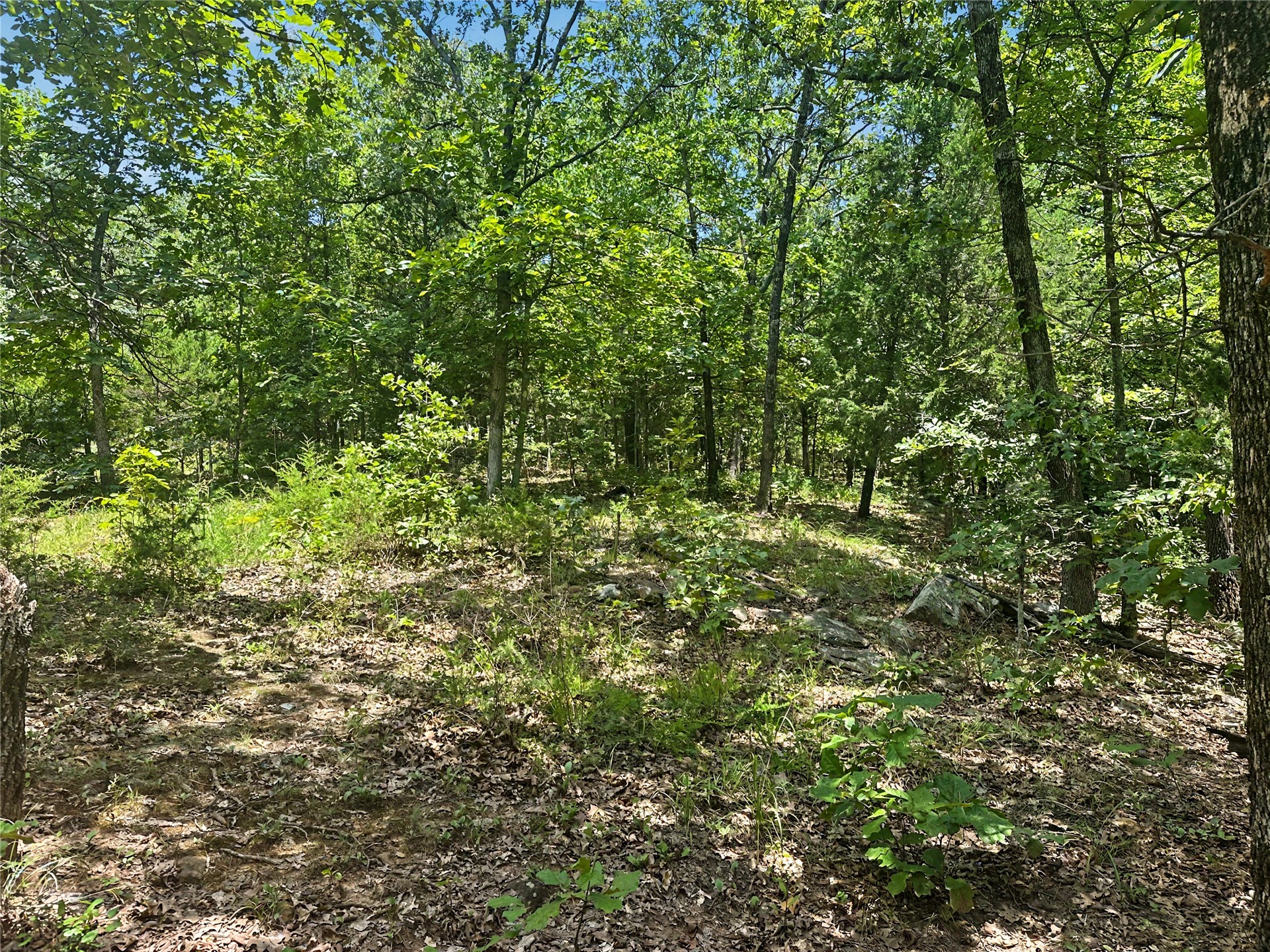 36112 S Arrowhead Drive Property Photo 12