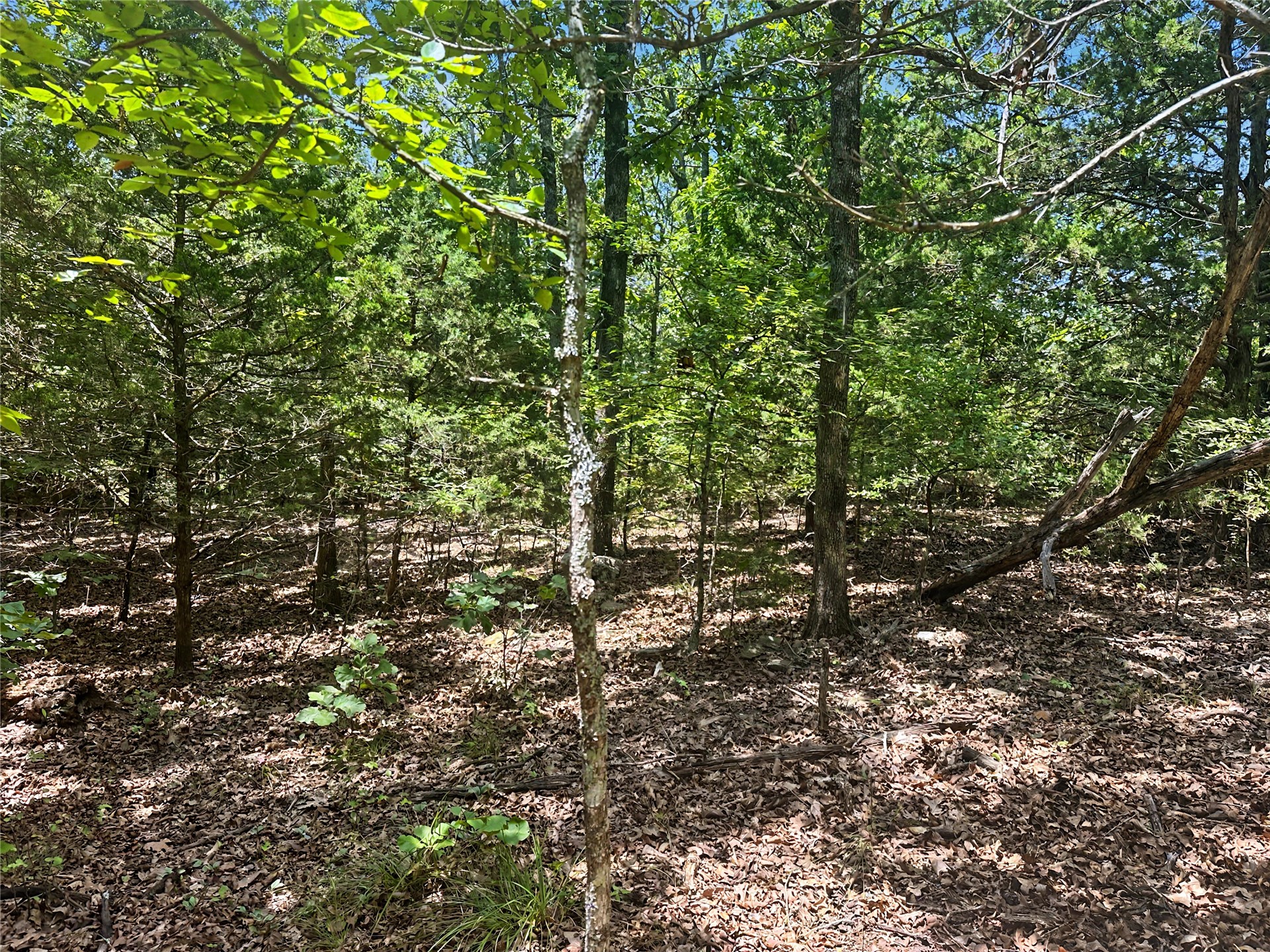 36112 S Arrowhead Drive Property Photo 13