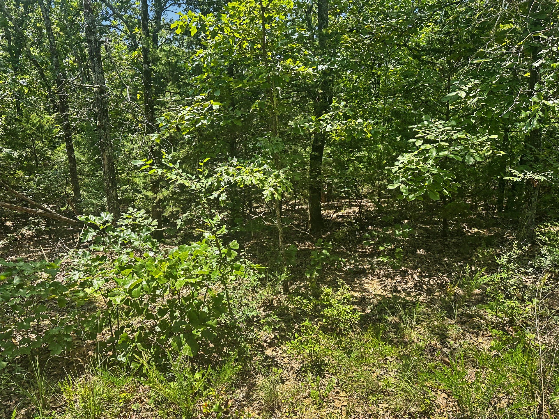36112 S Arrowhead Drive Property Photo 14