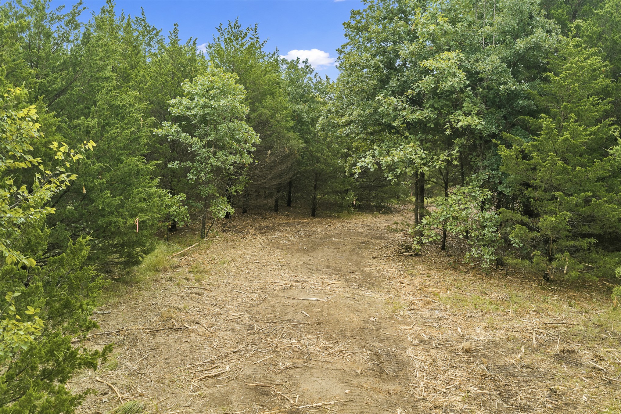 1 Highway 19 Property Photo