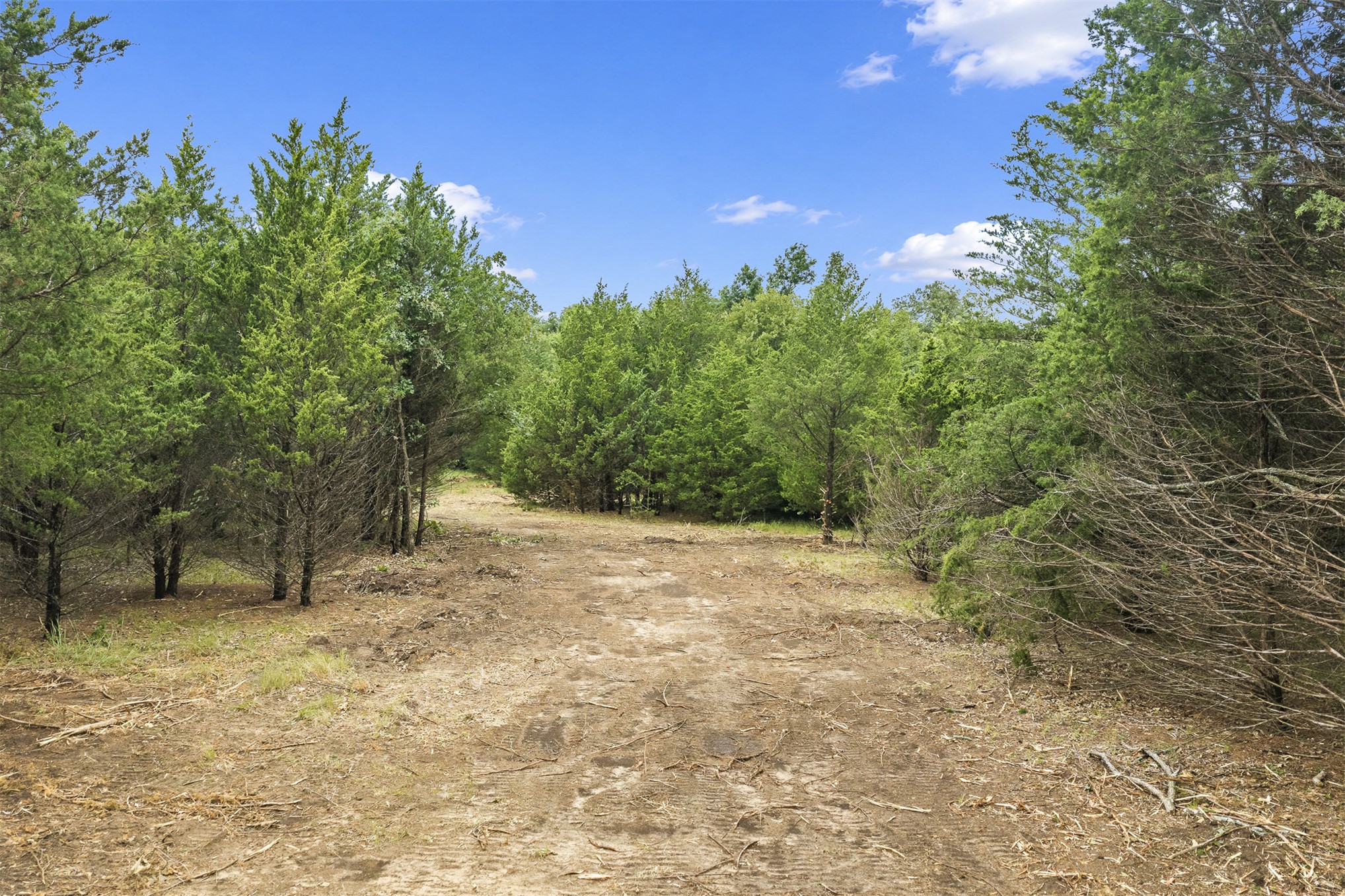 1 Highway 19 Property Photo 4