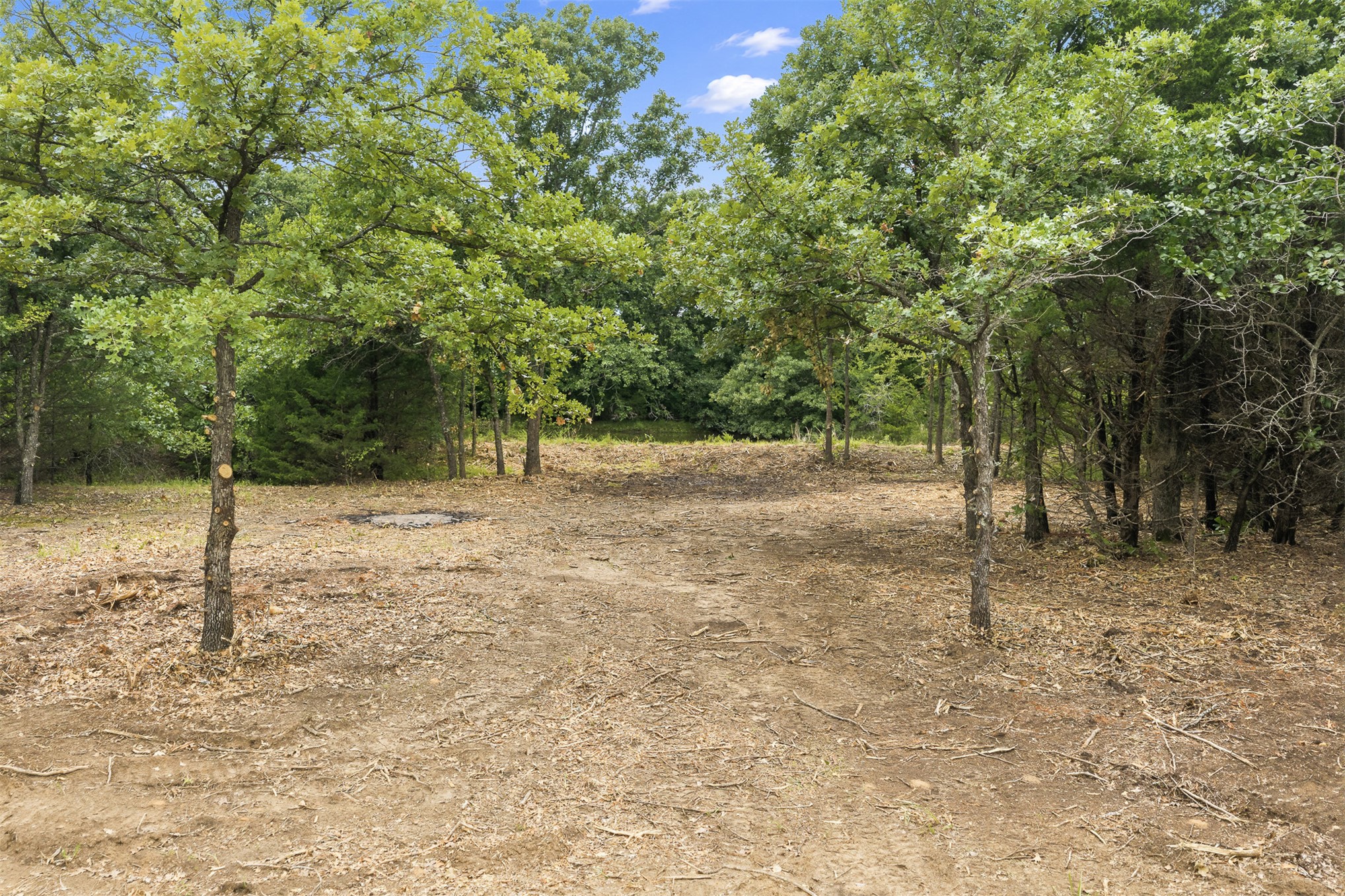 1 Highway 19 Property Photo 5