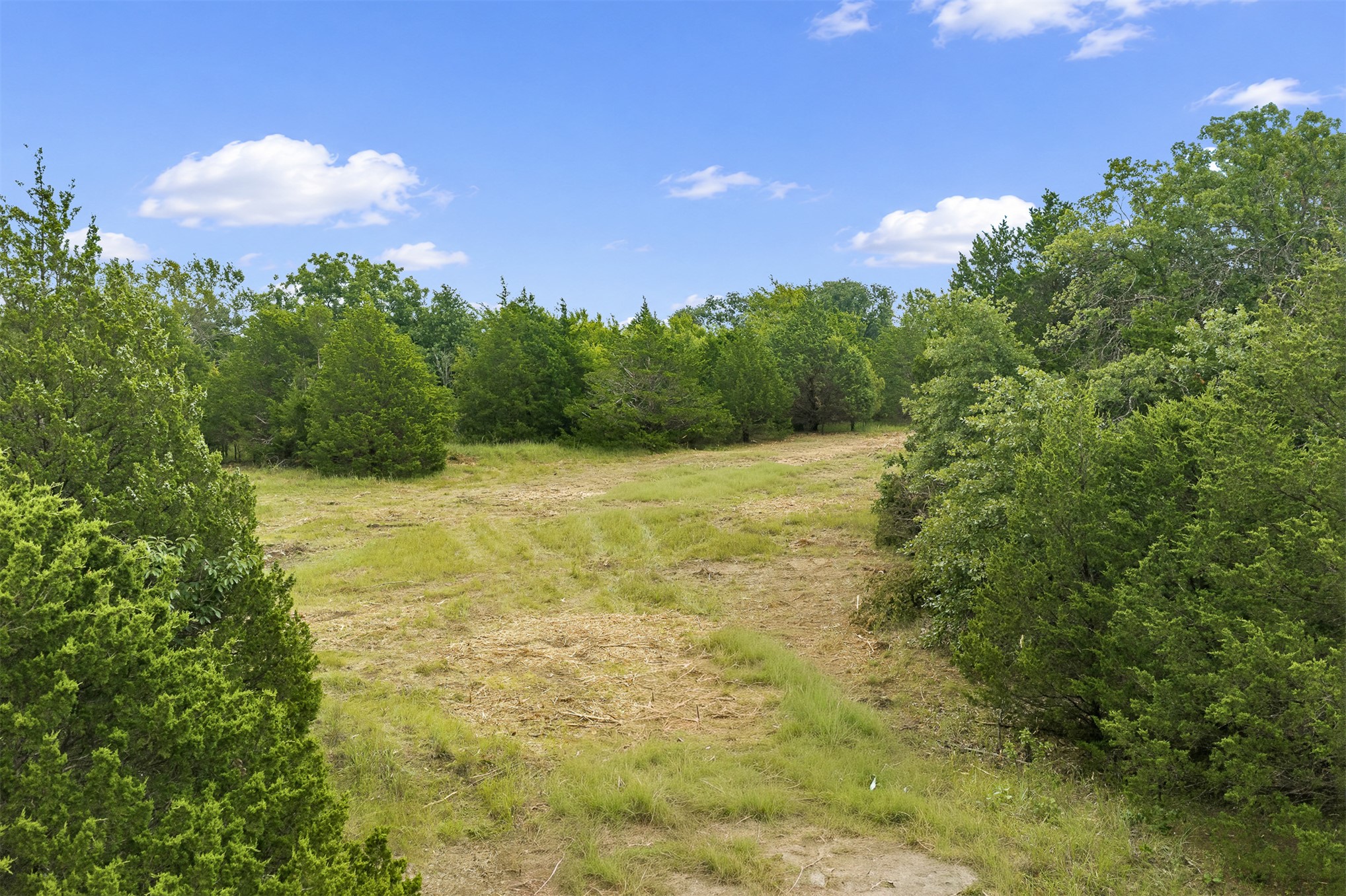 1 Highway 19 Property Photo 10
