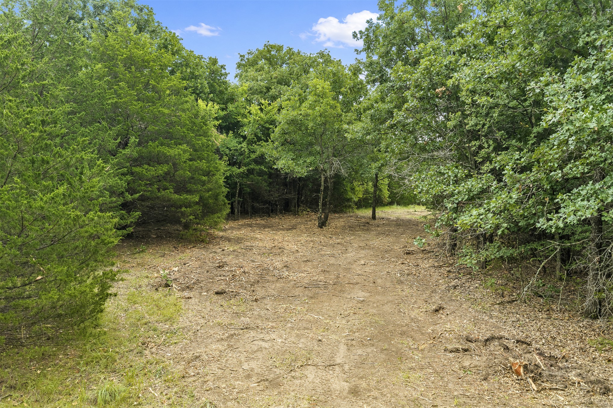 1 Highway 19 Property Photo 11