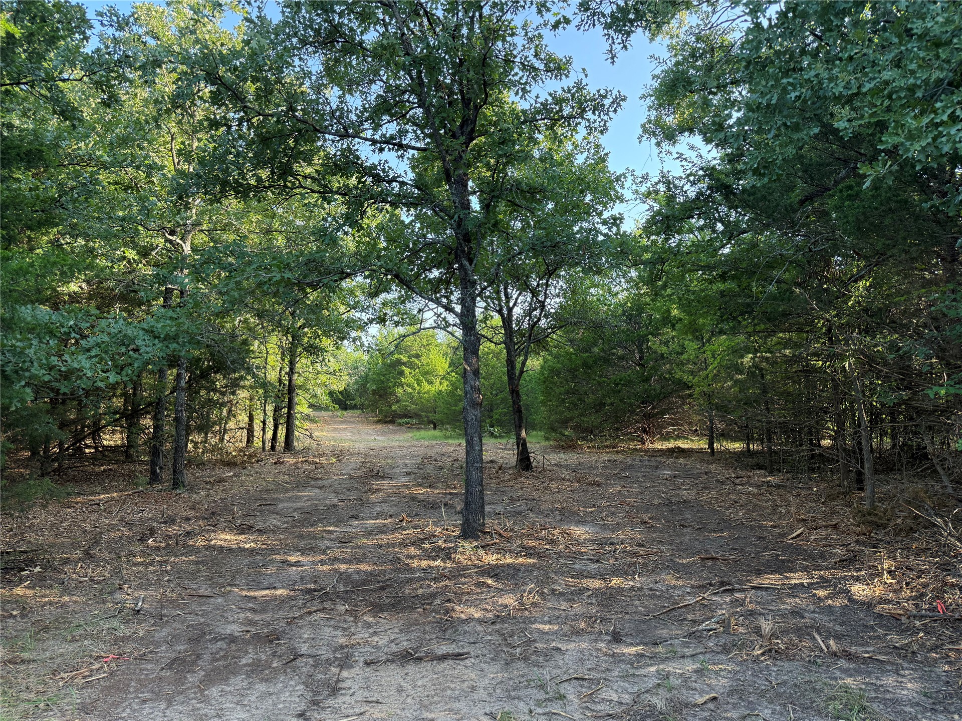 1 Highway 19 Property Photo 15