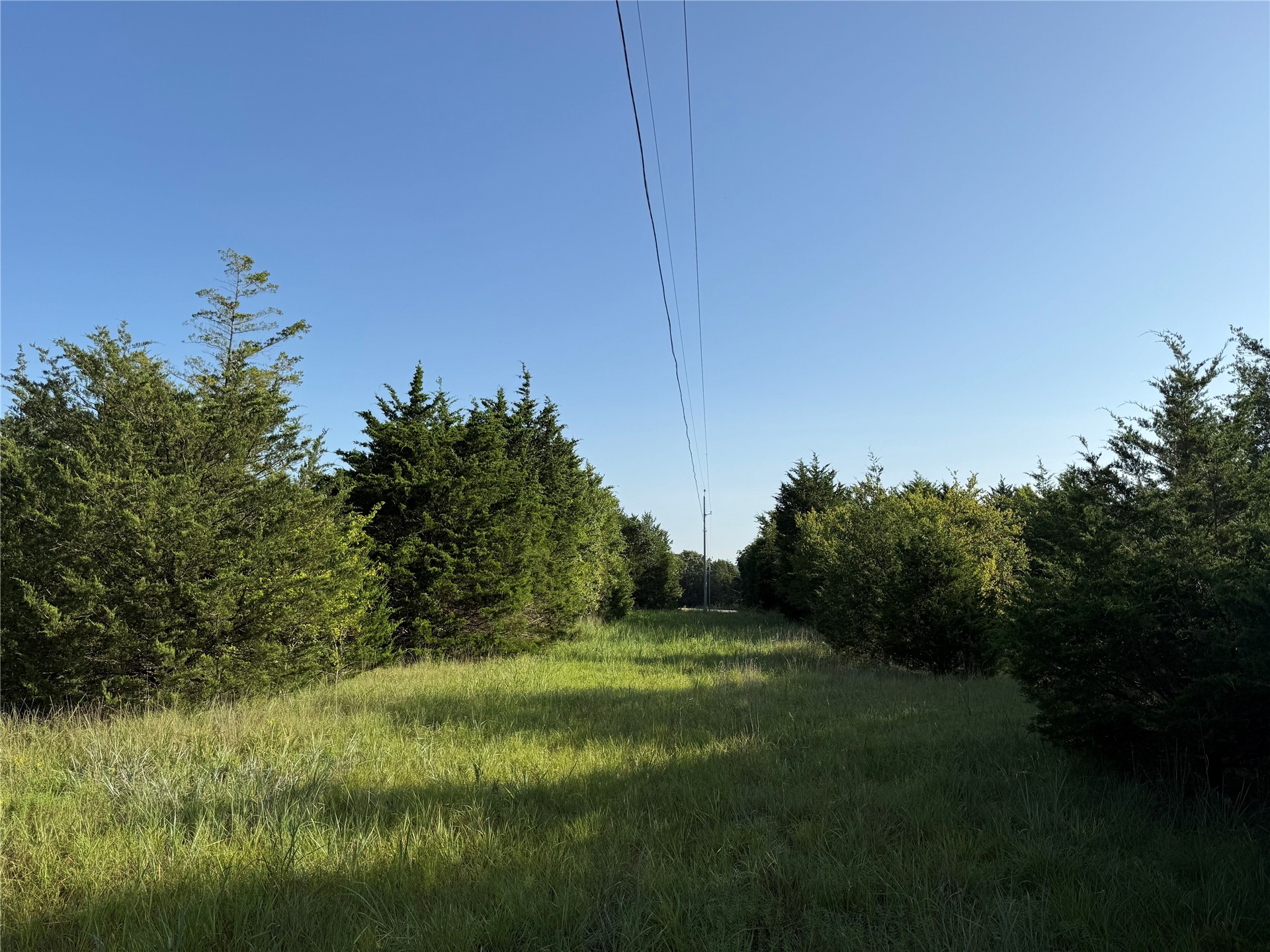 1 Highway 19 Property Photo 15