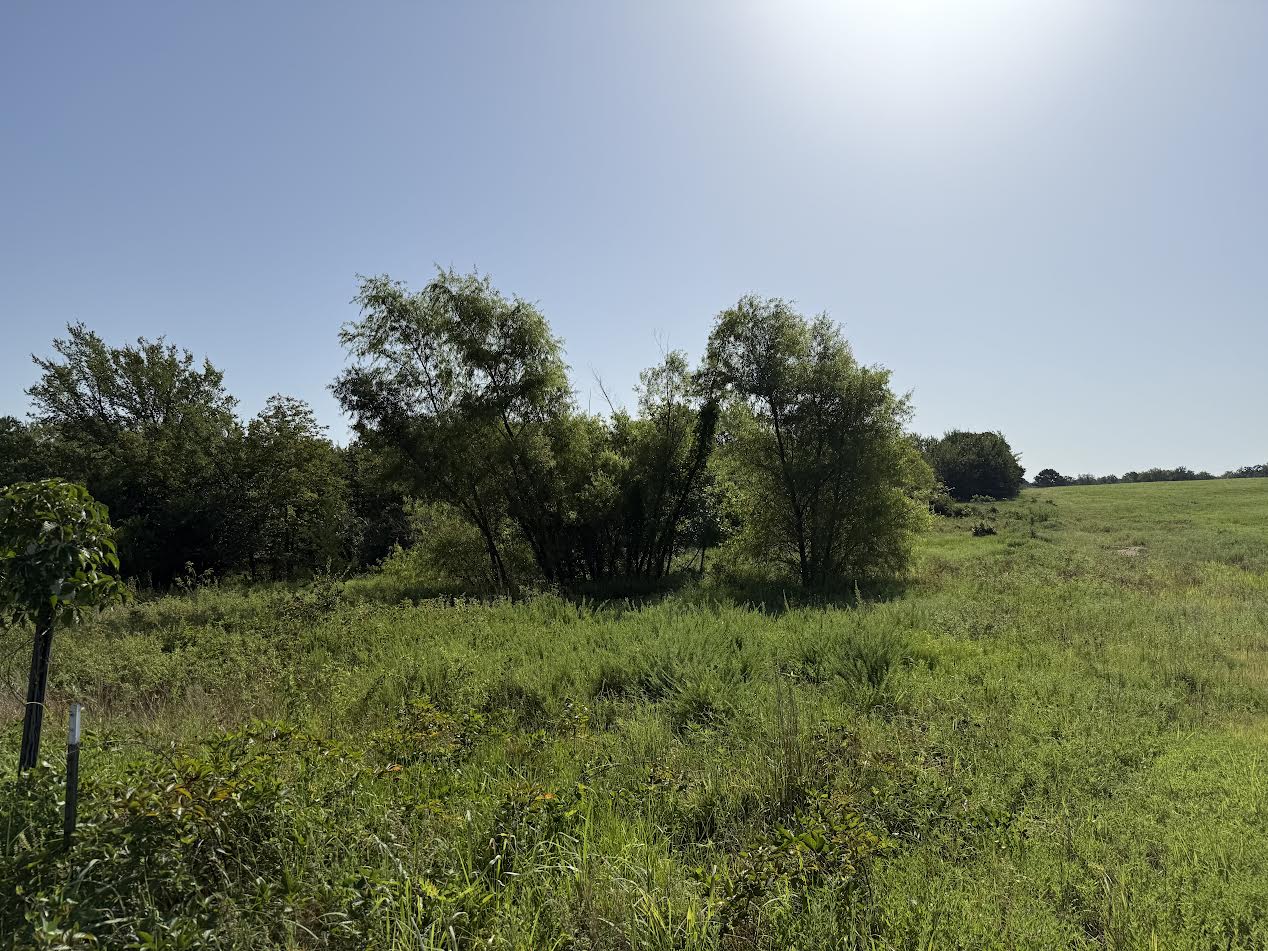 Hwy 82 Property Photo 2