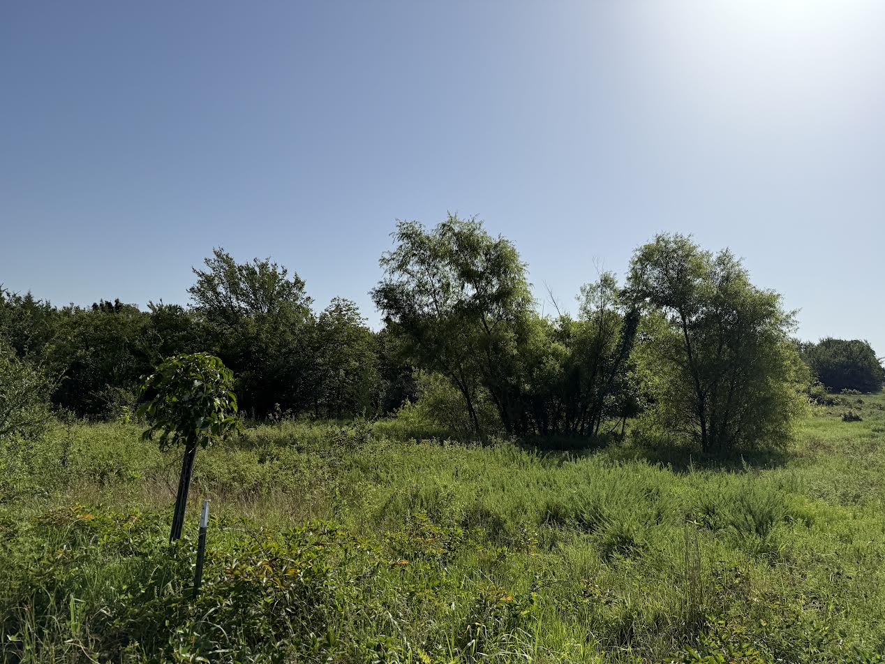Hwy 82 Property Photo 3