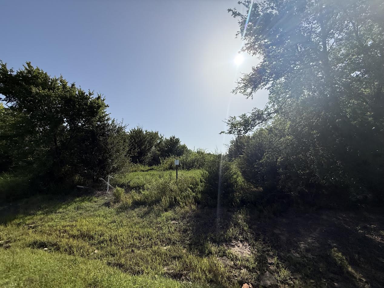 Hwy 82 Property Photo 4