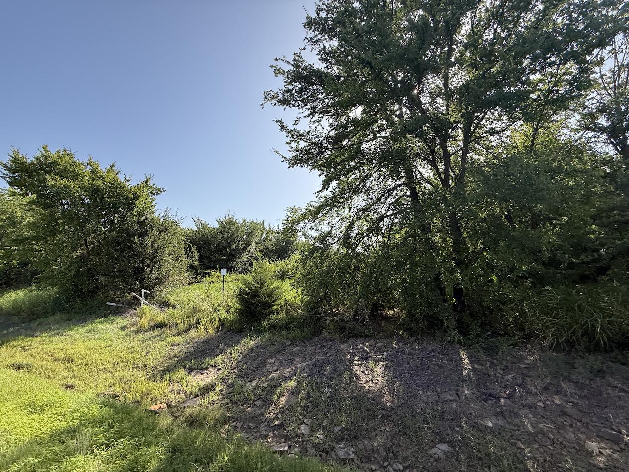 Hwy 82 Property Photo 5