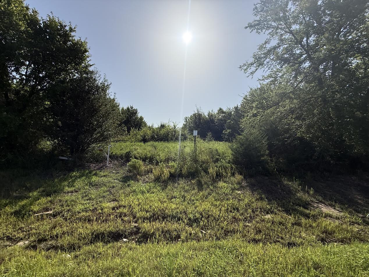 Hwy 82 Property Photo 6