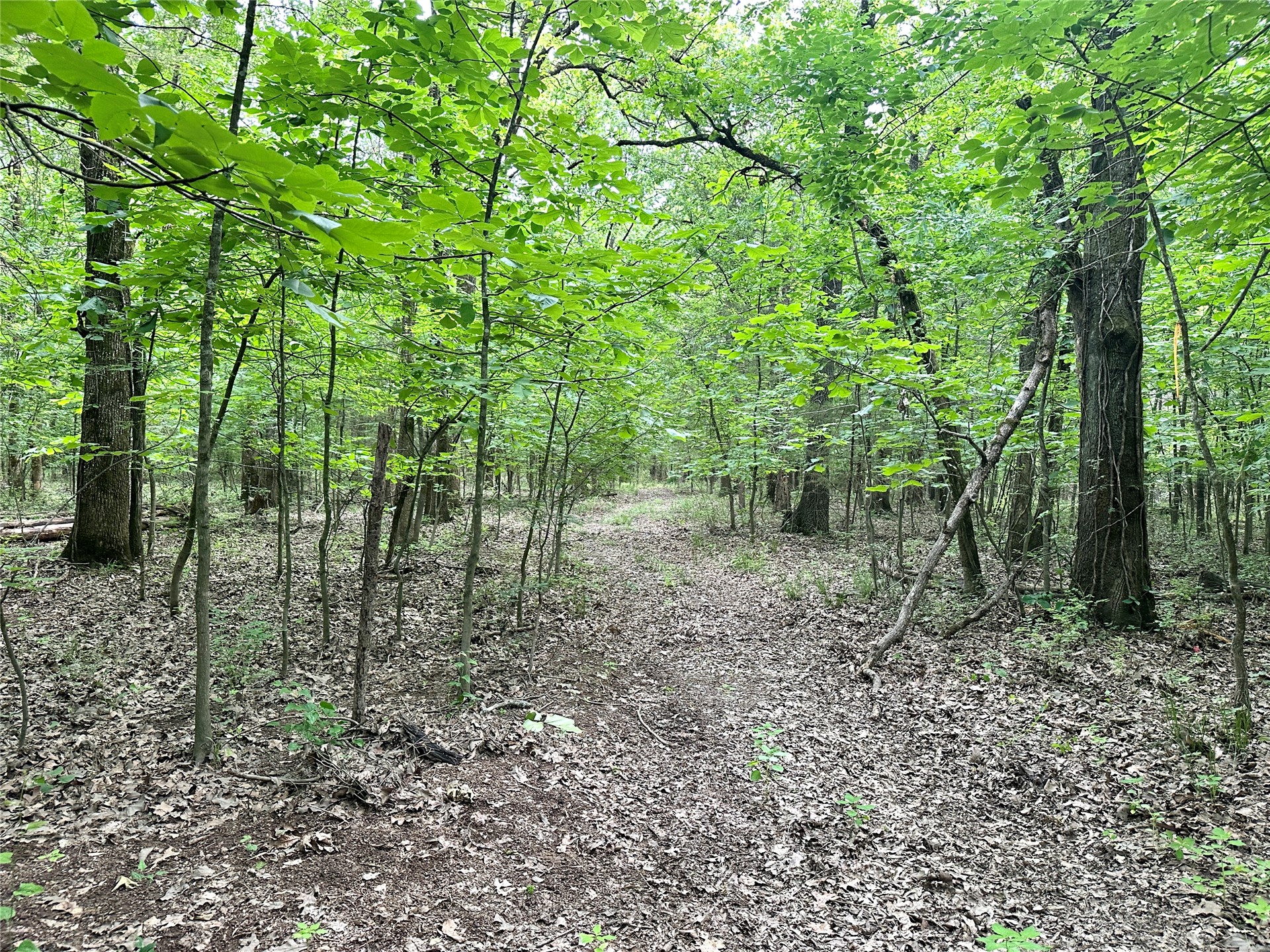 623 Dozer Mountain Road Property Photo 1