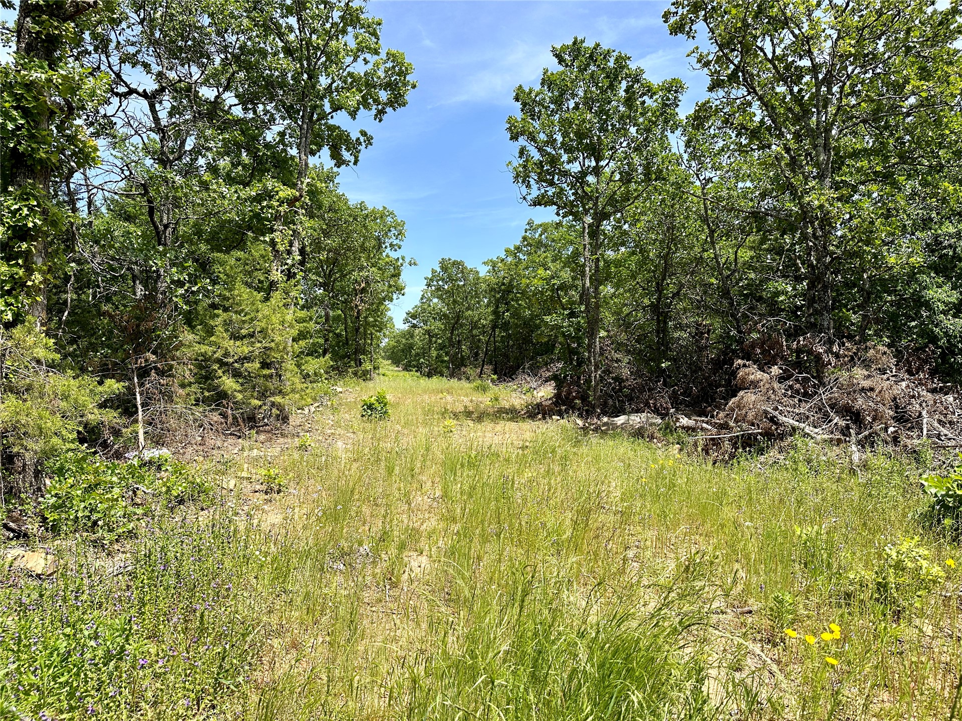 623 Dozer Mountain Road Property Photo 2