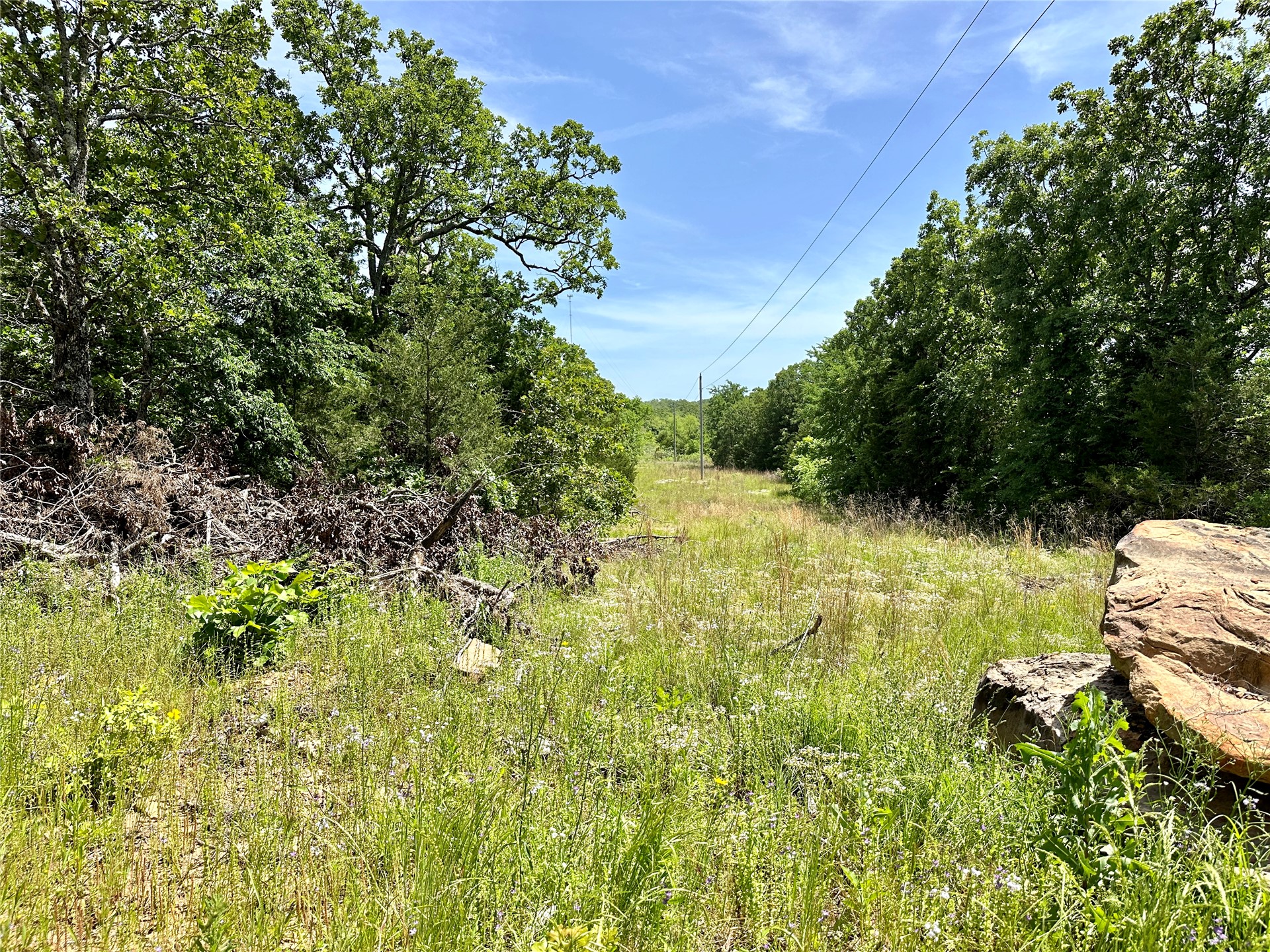623 Dozer Mountain Road Property Photo 3