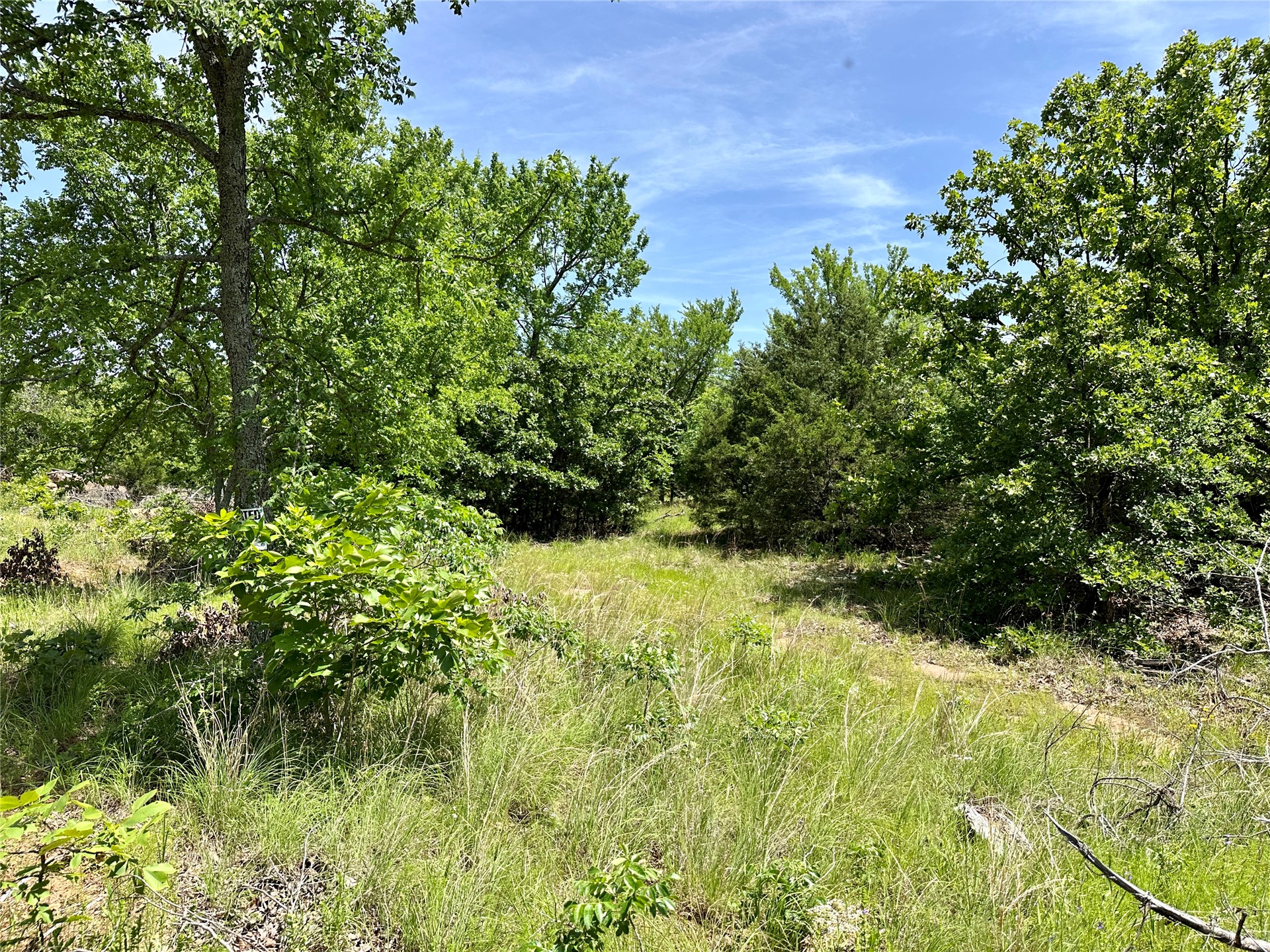 623 Dozer Mountain Road Property Photo 4