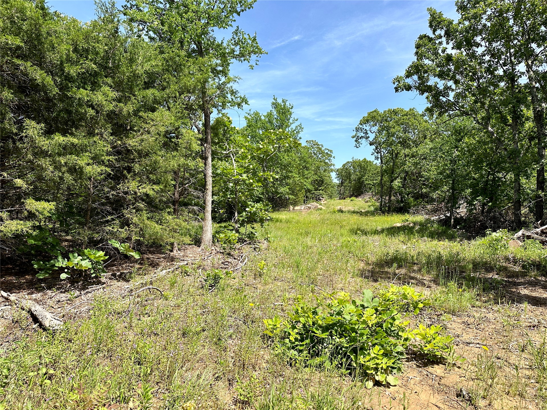 623 Dozer Mountain Road Property Photo 5