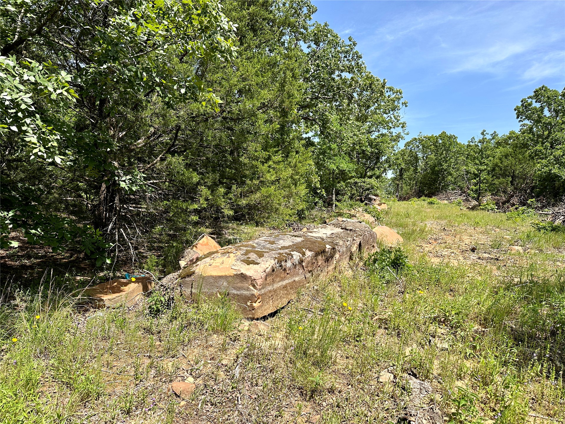623 Dozer Mountain Road Property Photo 6