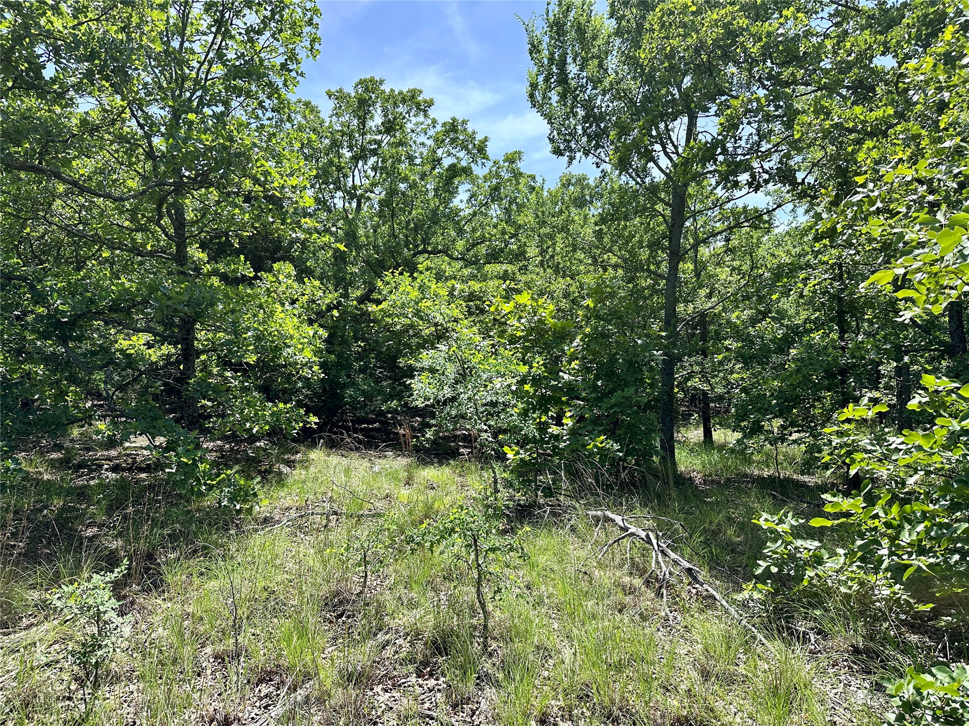 623 Dozer Mountain Road Property Photo 8