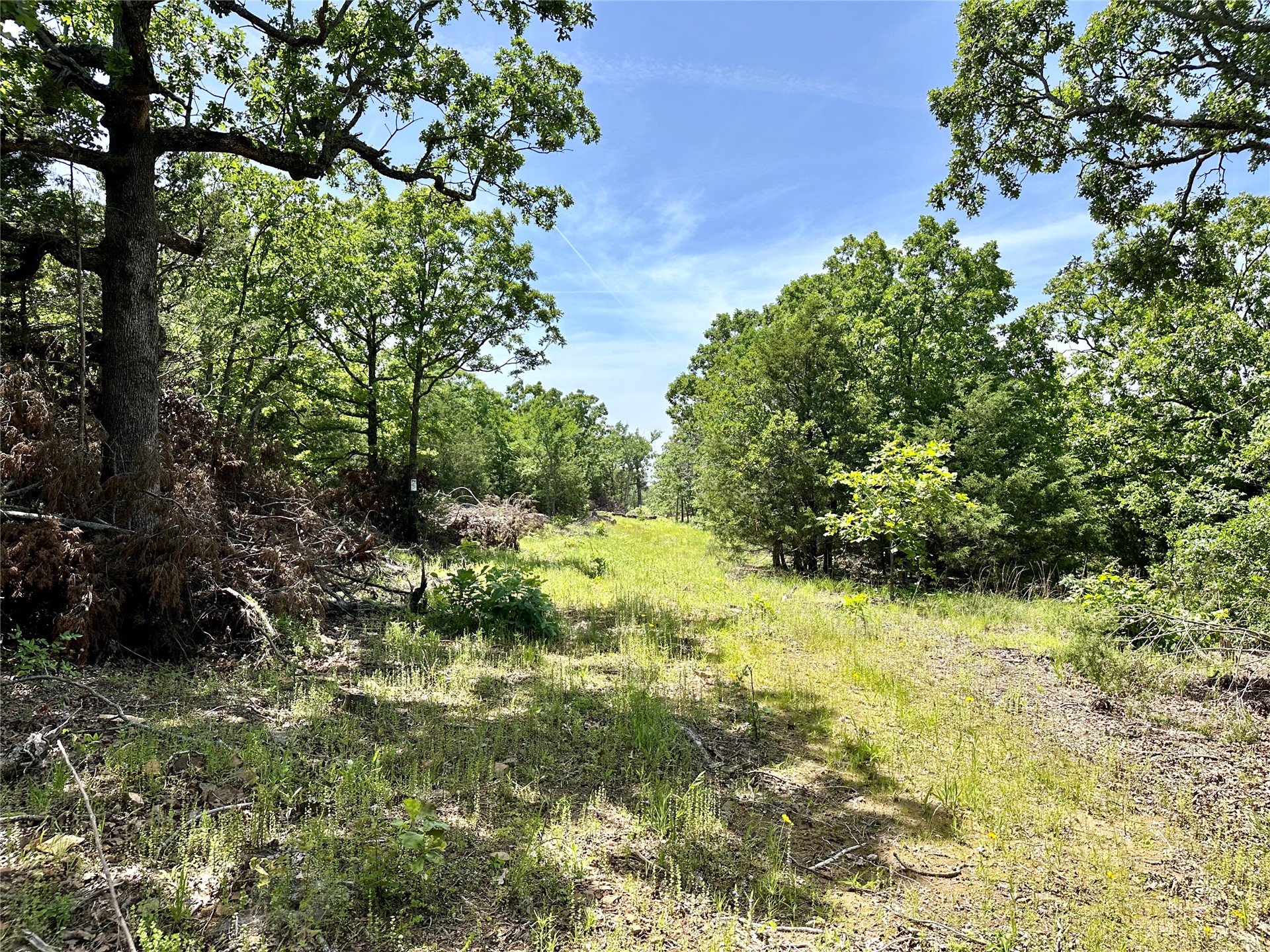 623 Dozer Mountain Road Property Photo 9