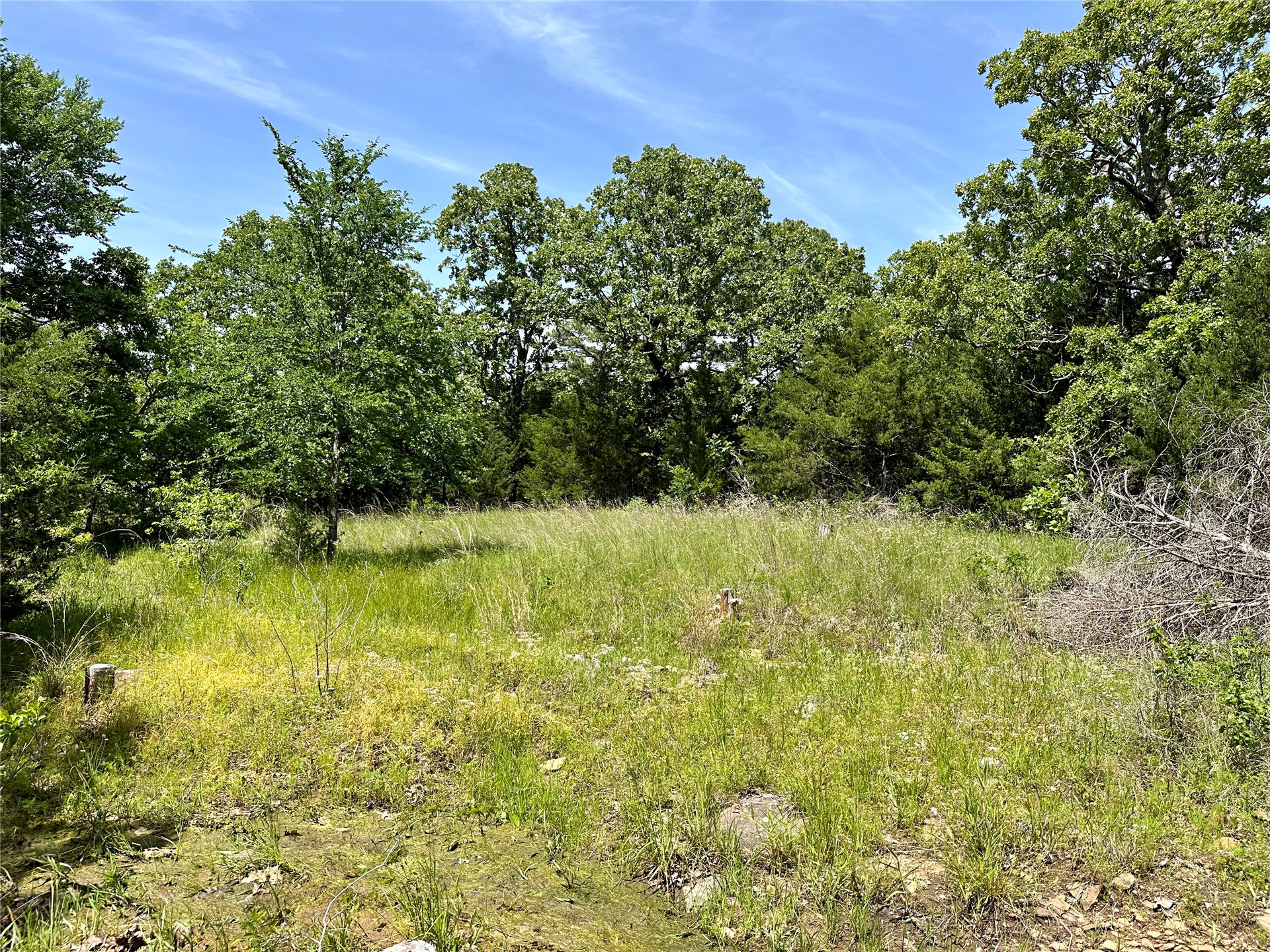623 Dozer Mountain Road Property Photo 10