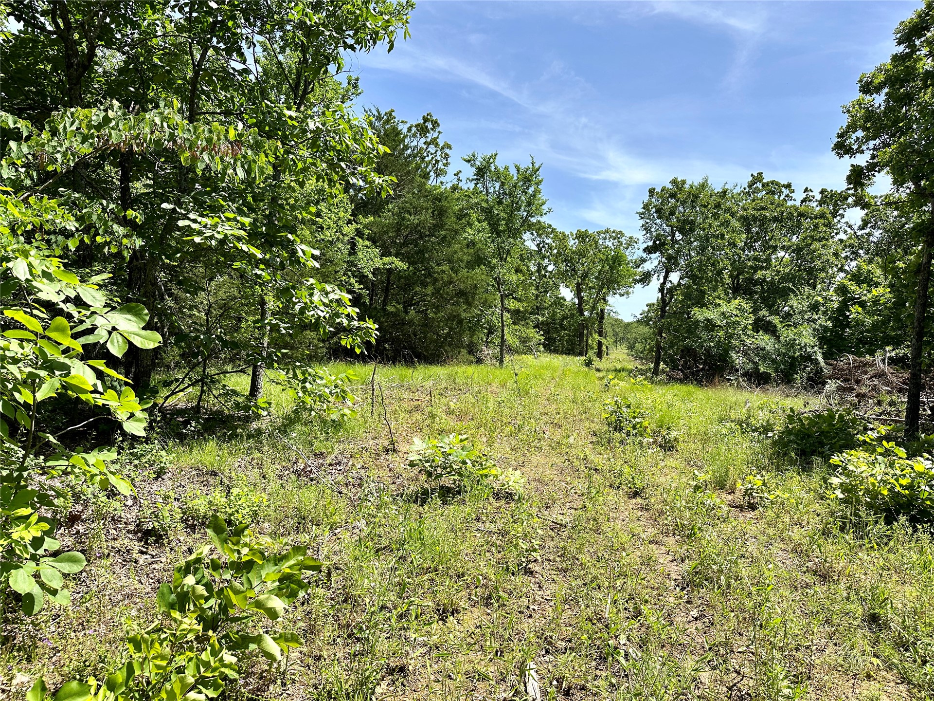 623 Dozer Mountain Road Property Photo 12