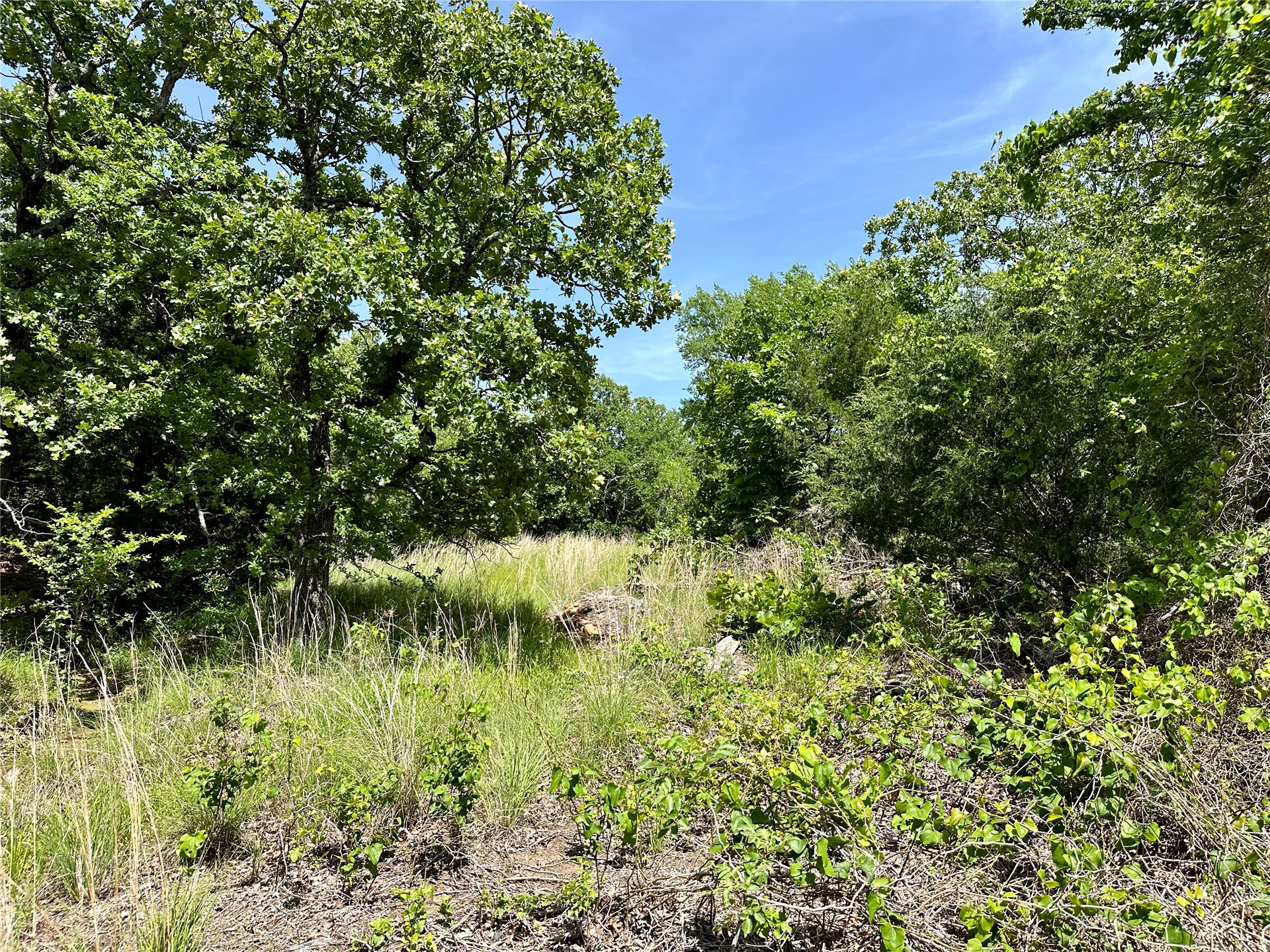 623 Dozer Mountain Road Property Photo 13