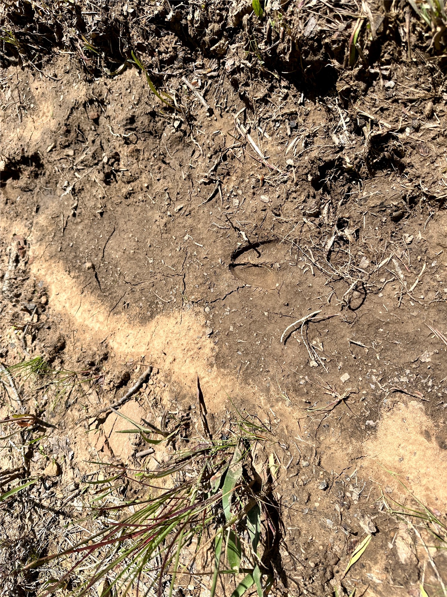 623 Dozer Mountain Road Property Photo 14