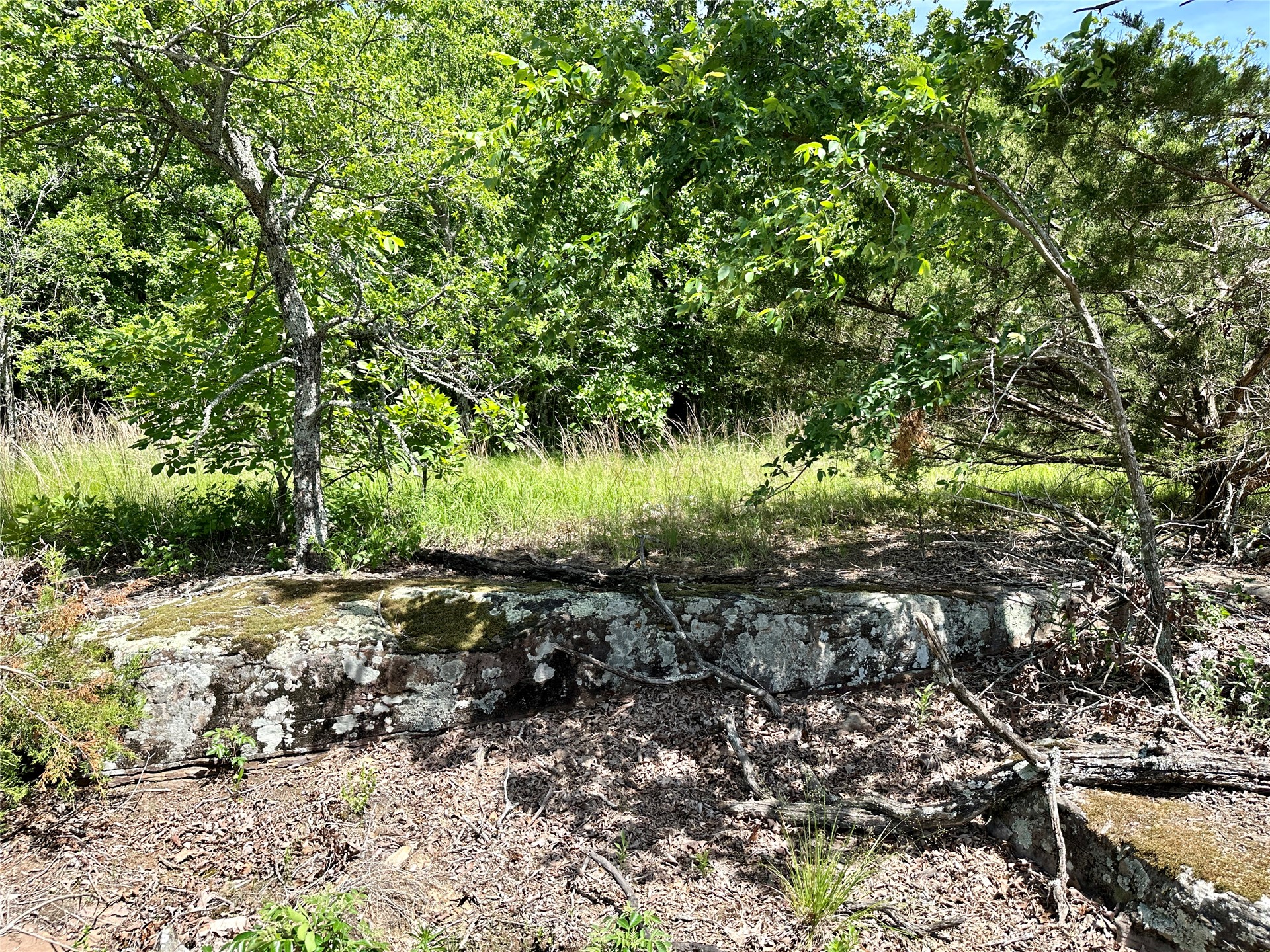 623 Dozer Mountain Road Property Photo 15