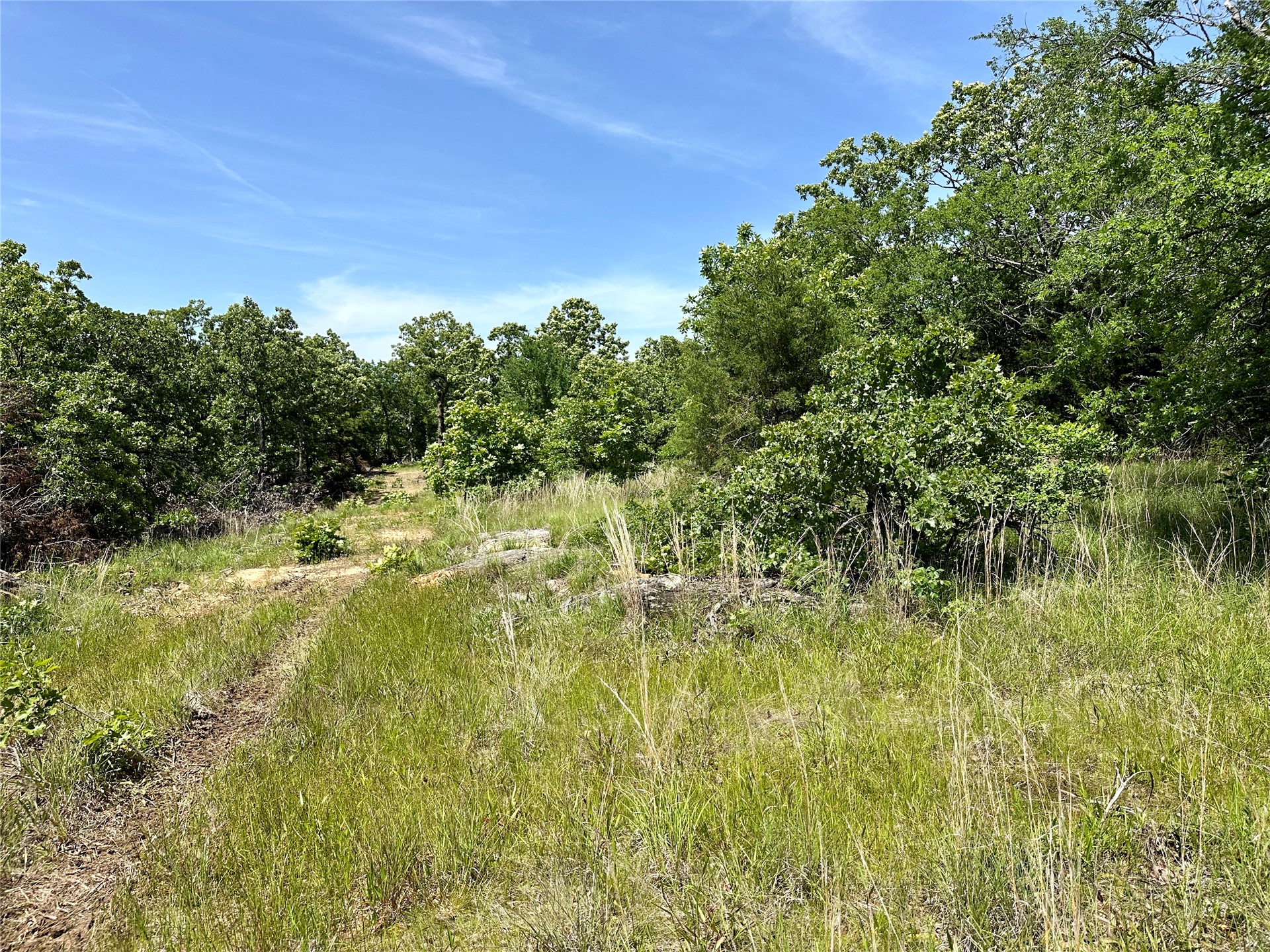 623 Dozer Mountain Road Property Photo 16