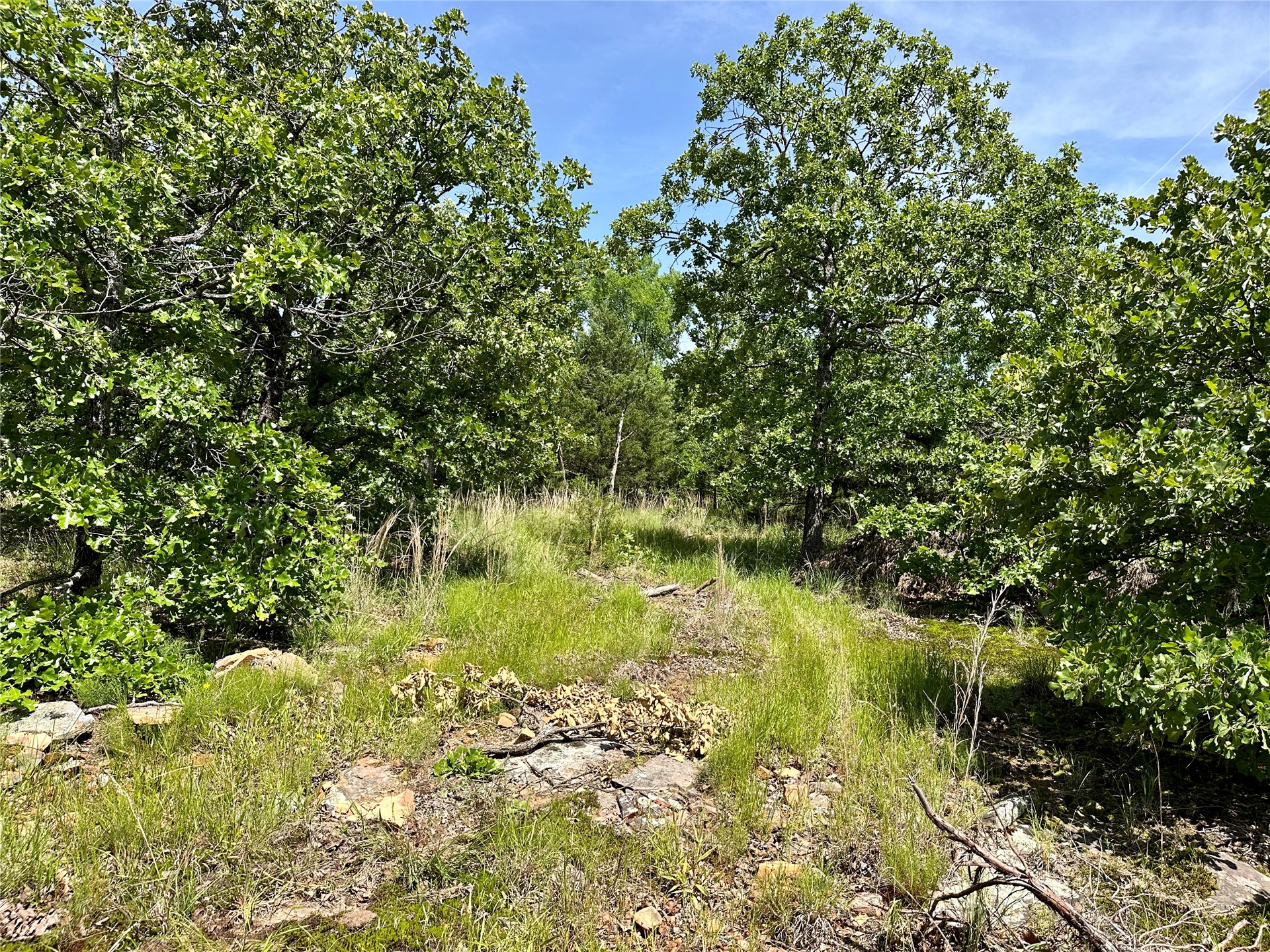 623 Dozer Mountain Road Property Photo 17