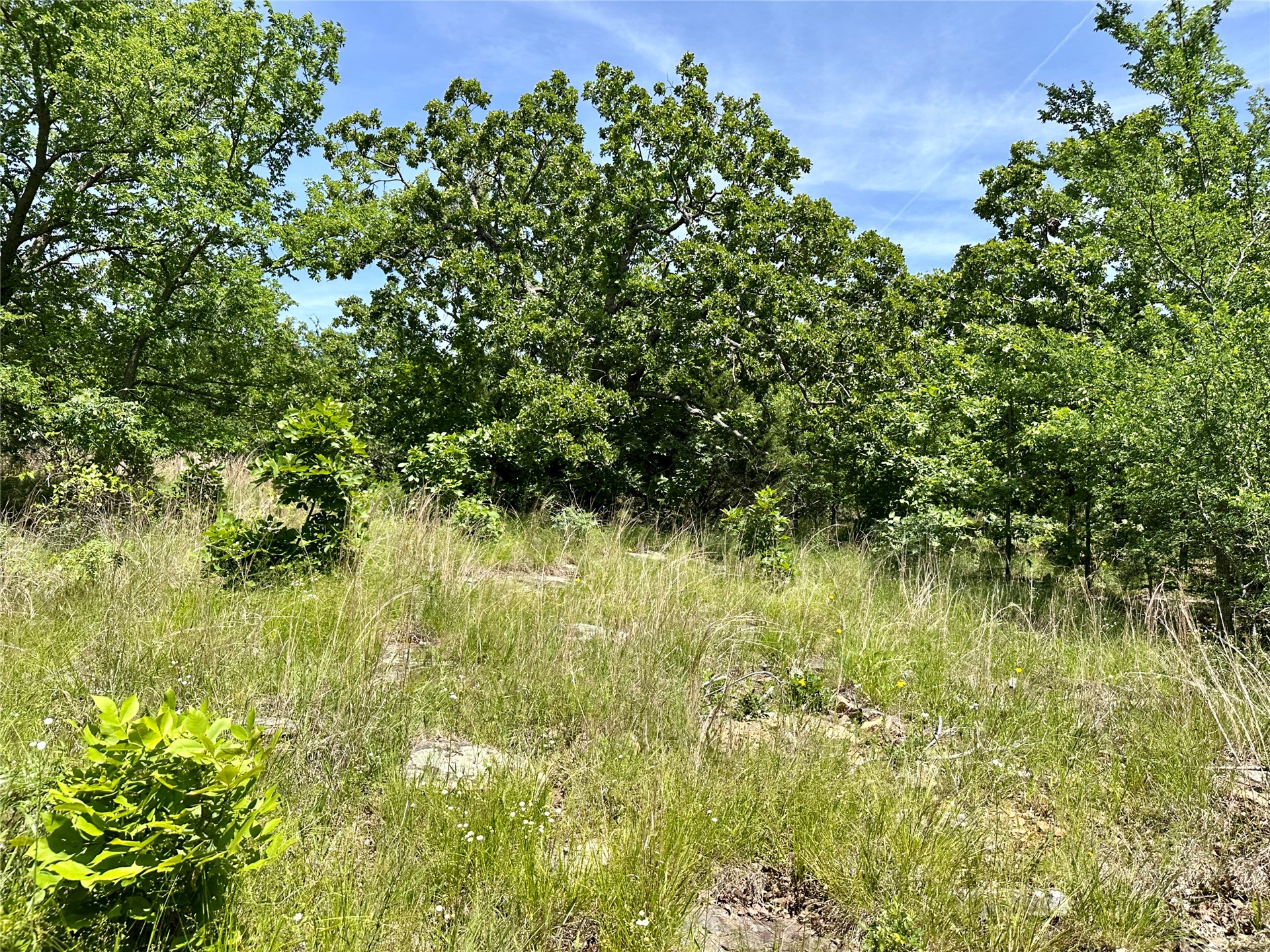 623 Dozer Mountain Road Property Photo 19