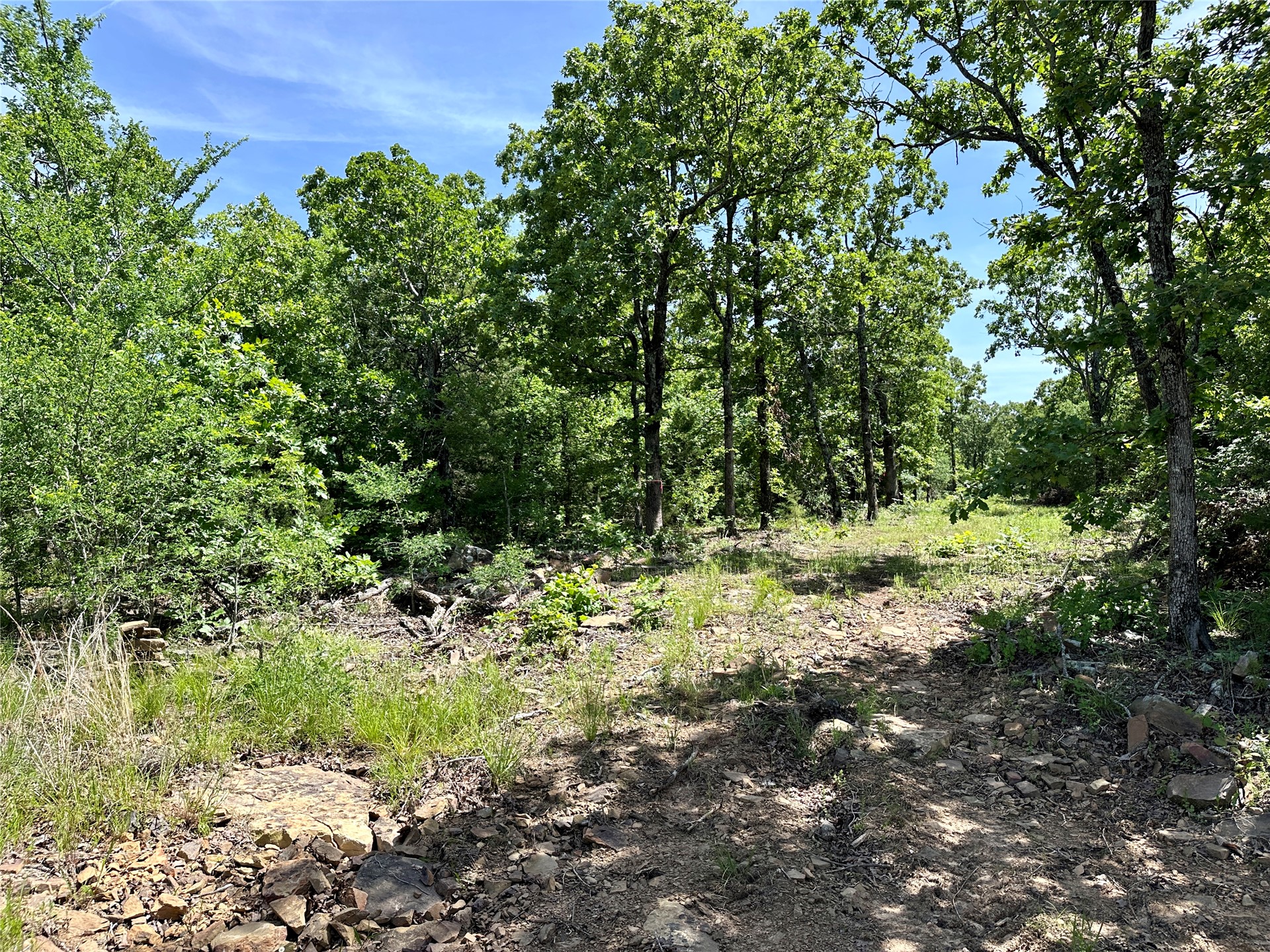 623 Dozer Mountain Road Property Photo 21