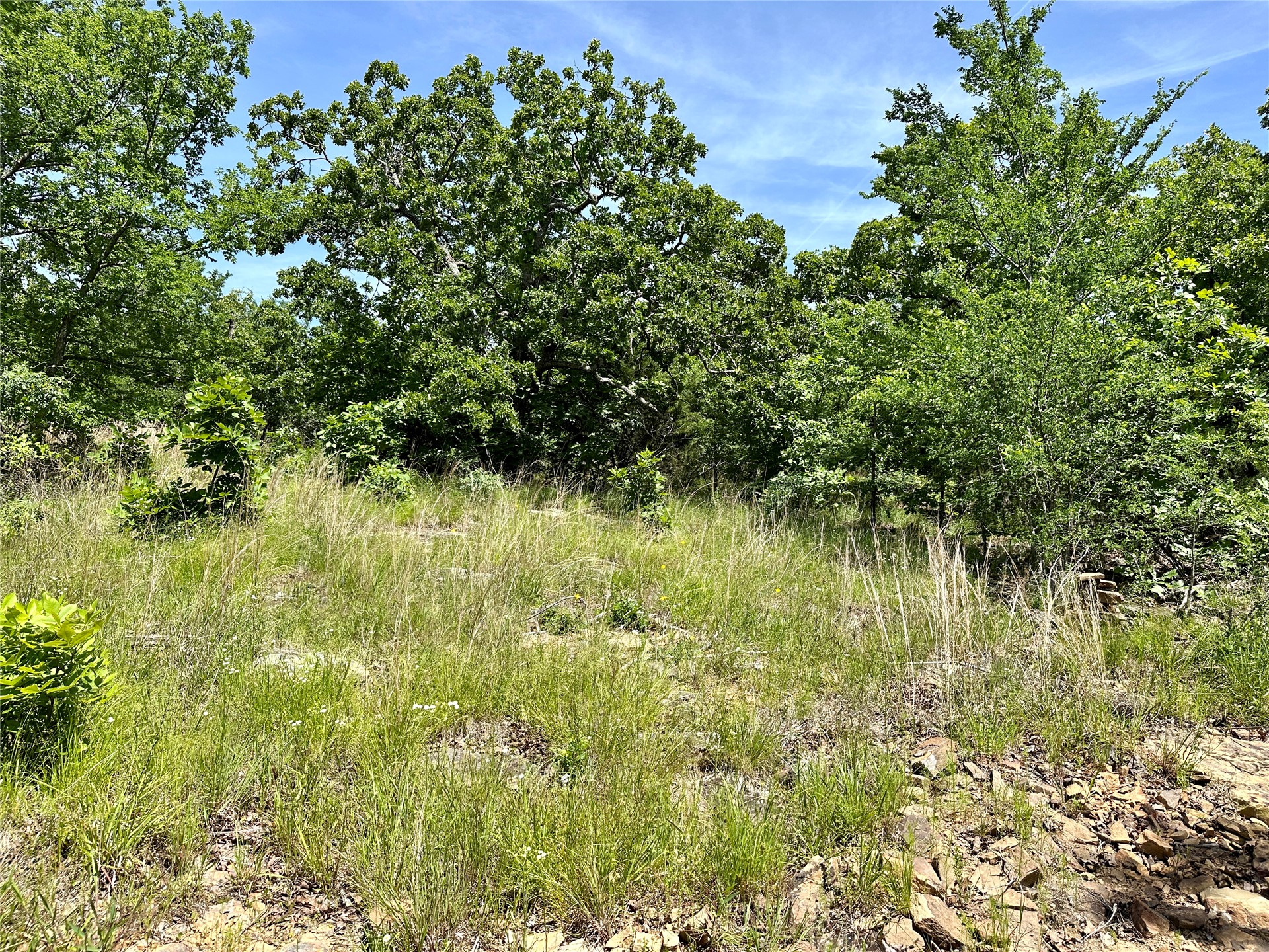 623 Dozer Mountain Road Property Photo 22