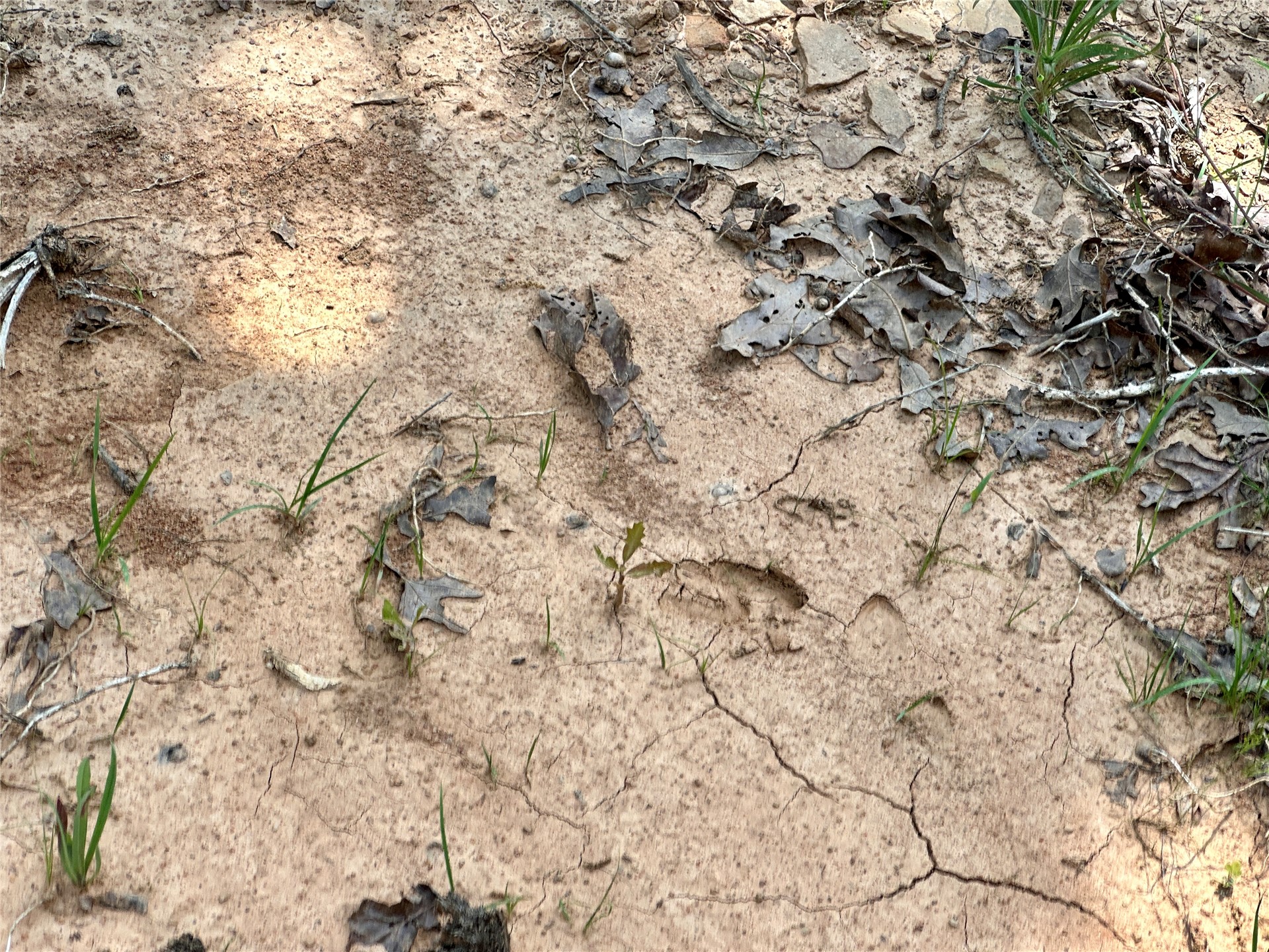 623 Dozer Mountain Road Property Photo 24