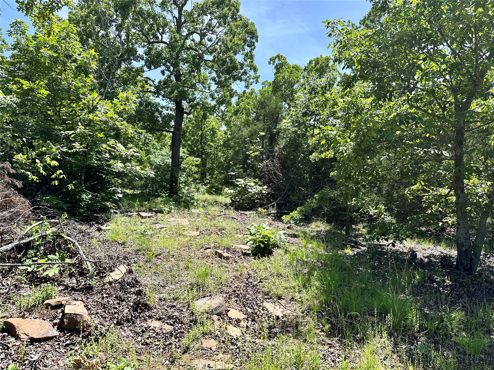 623 Dozer Mountain Road Property Photo 25