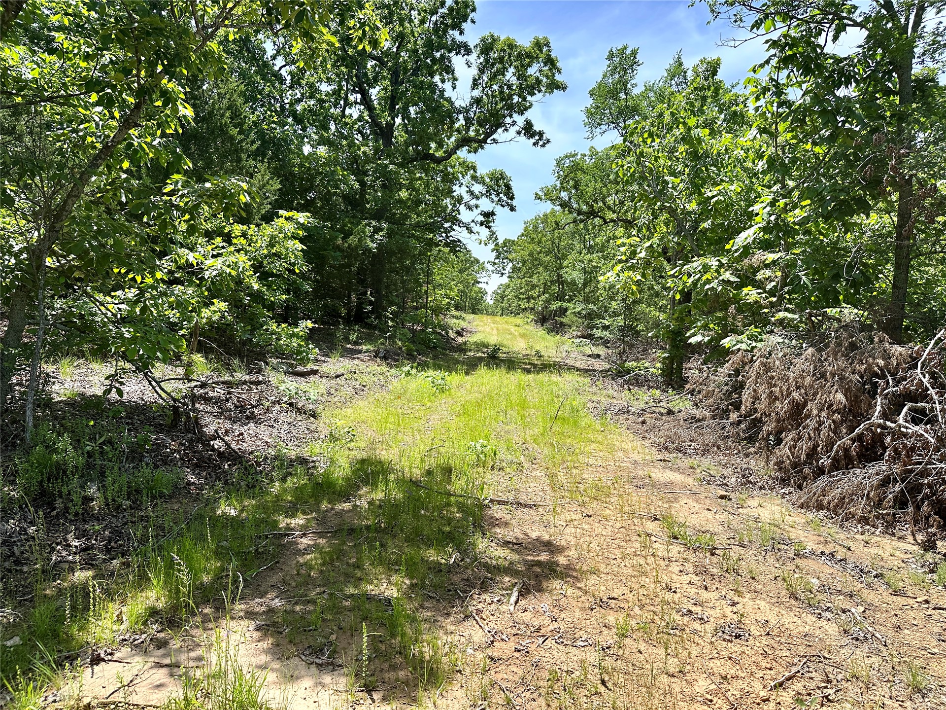 623 Dozer Mountain Road Property Photo 26