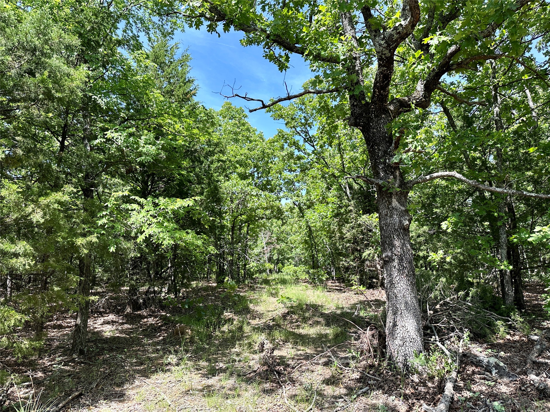 623 Dozer Mountain Road Property Photo 27