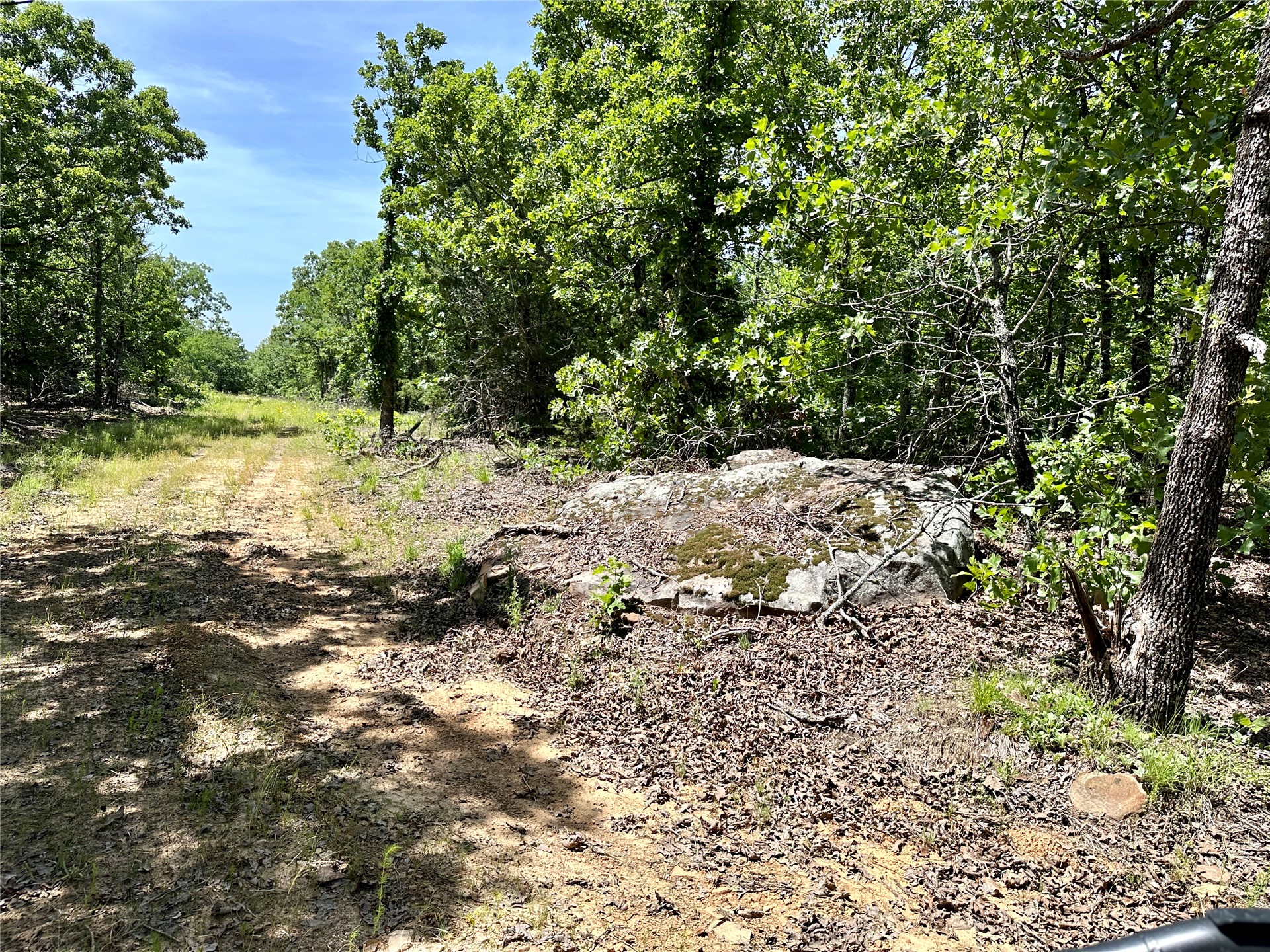 623 Dozer Mountain Road Property Photo 28