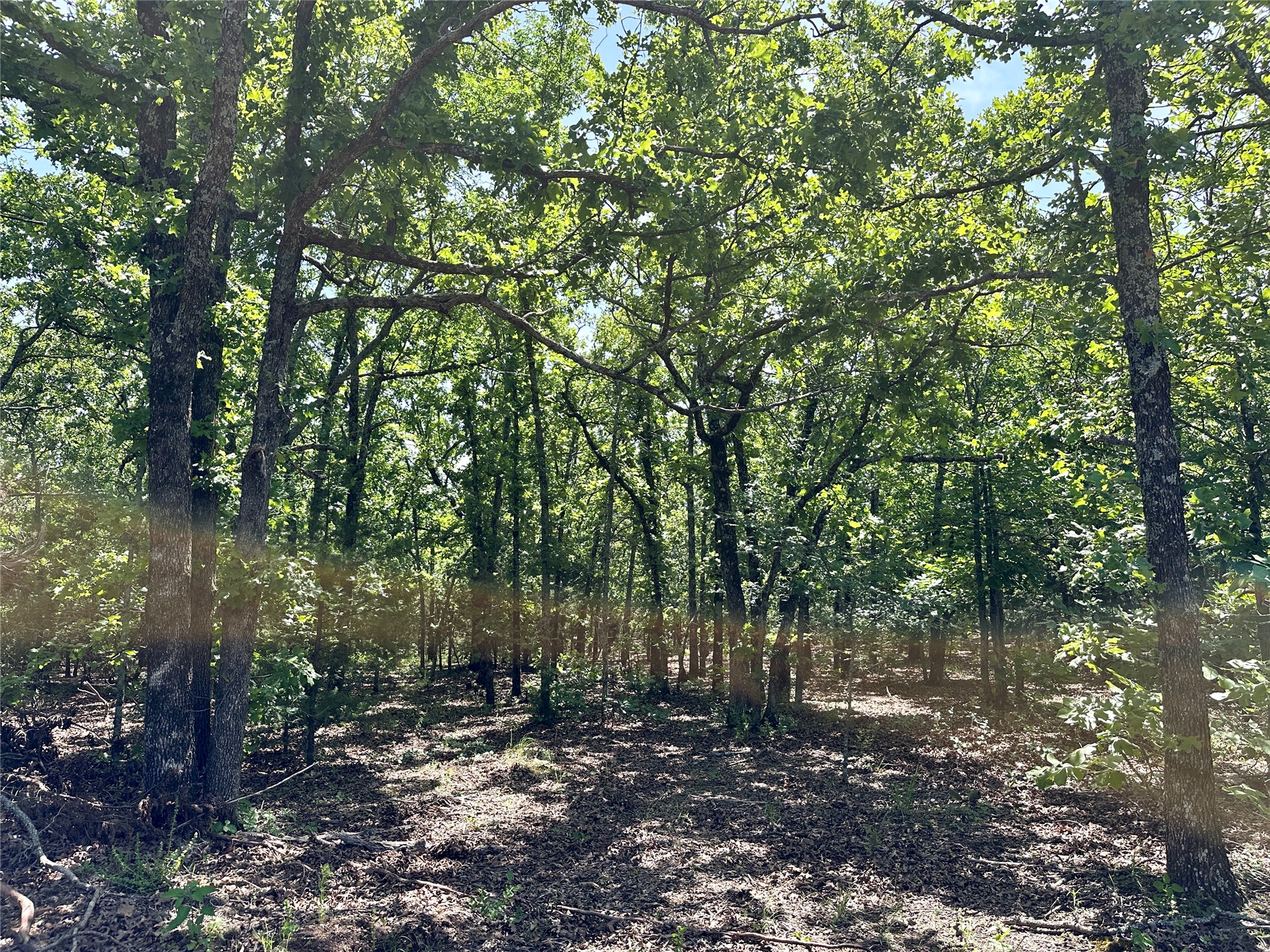 623 Dozer Mountain Road Property Photo 29