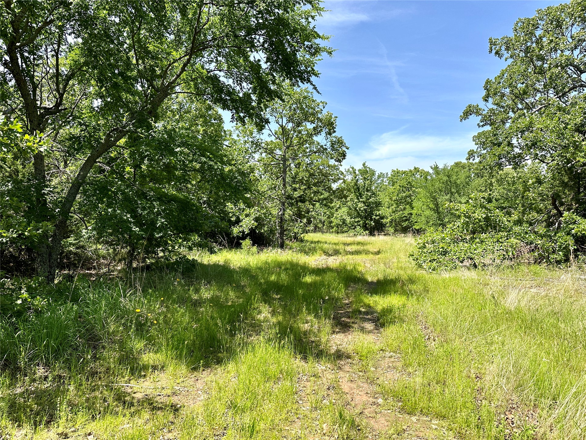 623 Dozer Mountain Road Property Photo 30