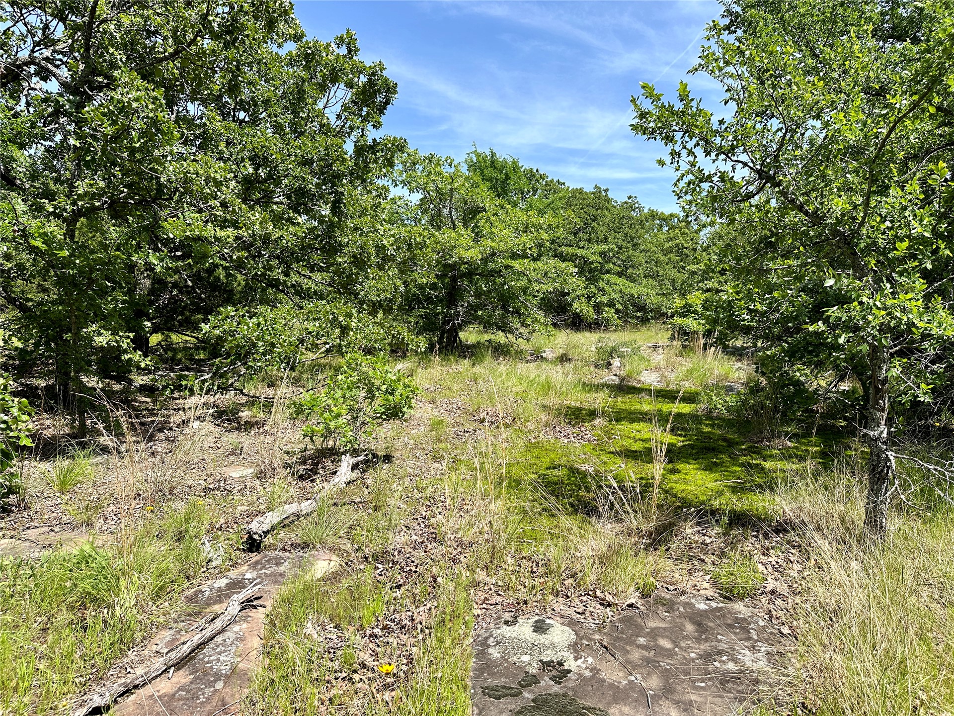 623 Dozer Mountain Road Property Photo 31