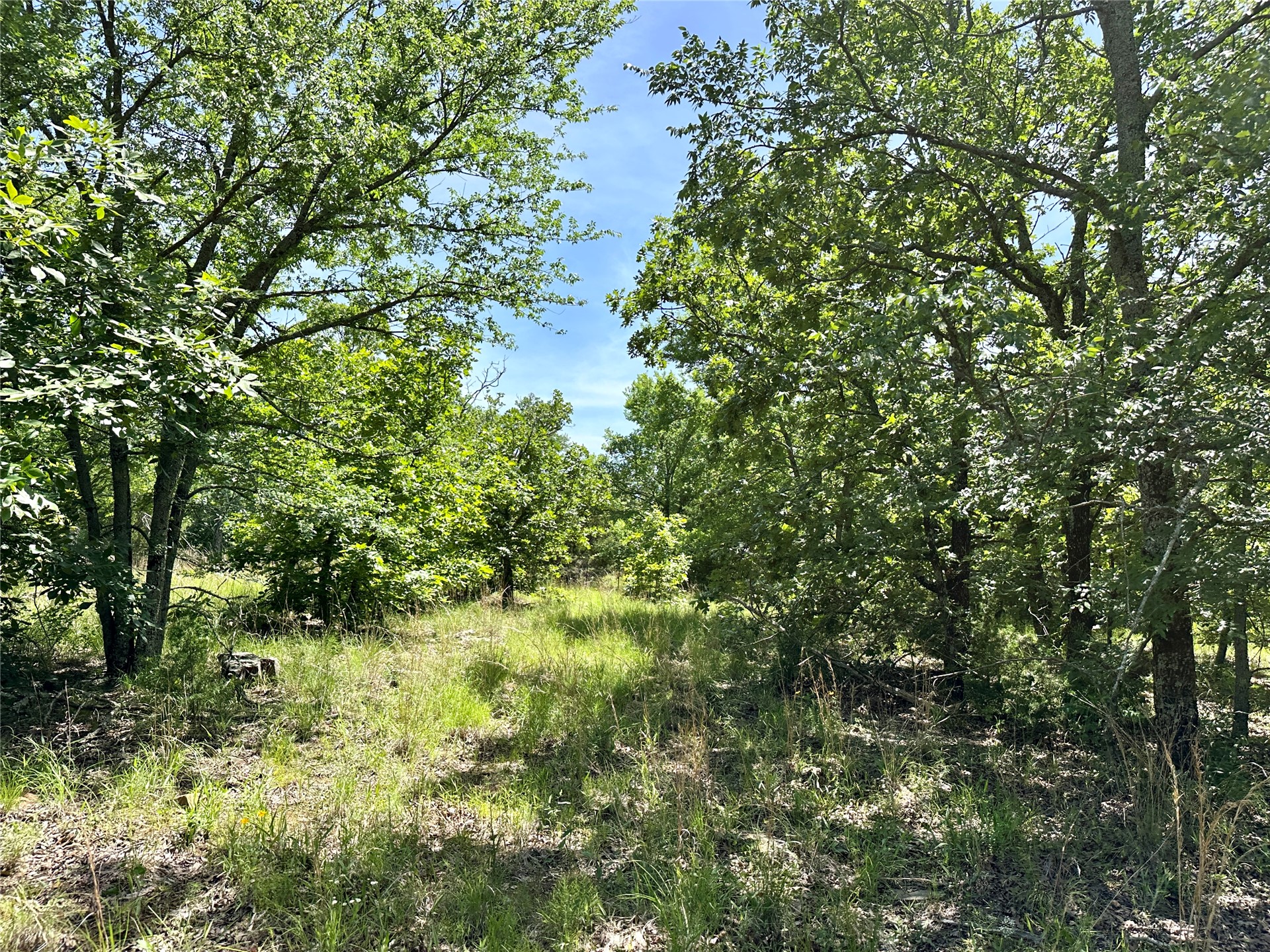 623 Dozer Mountain Road Property Photo 33