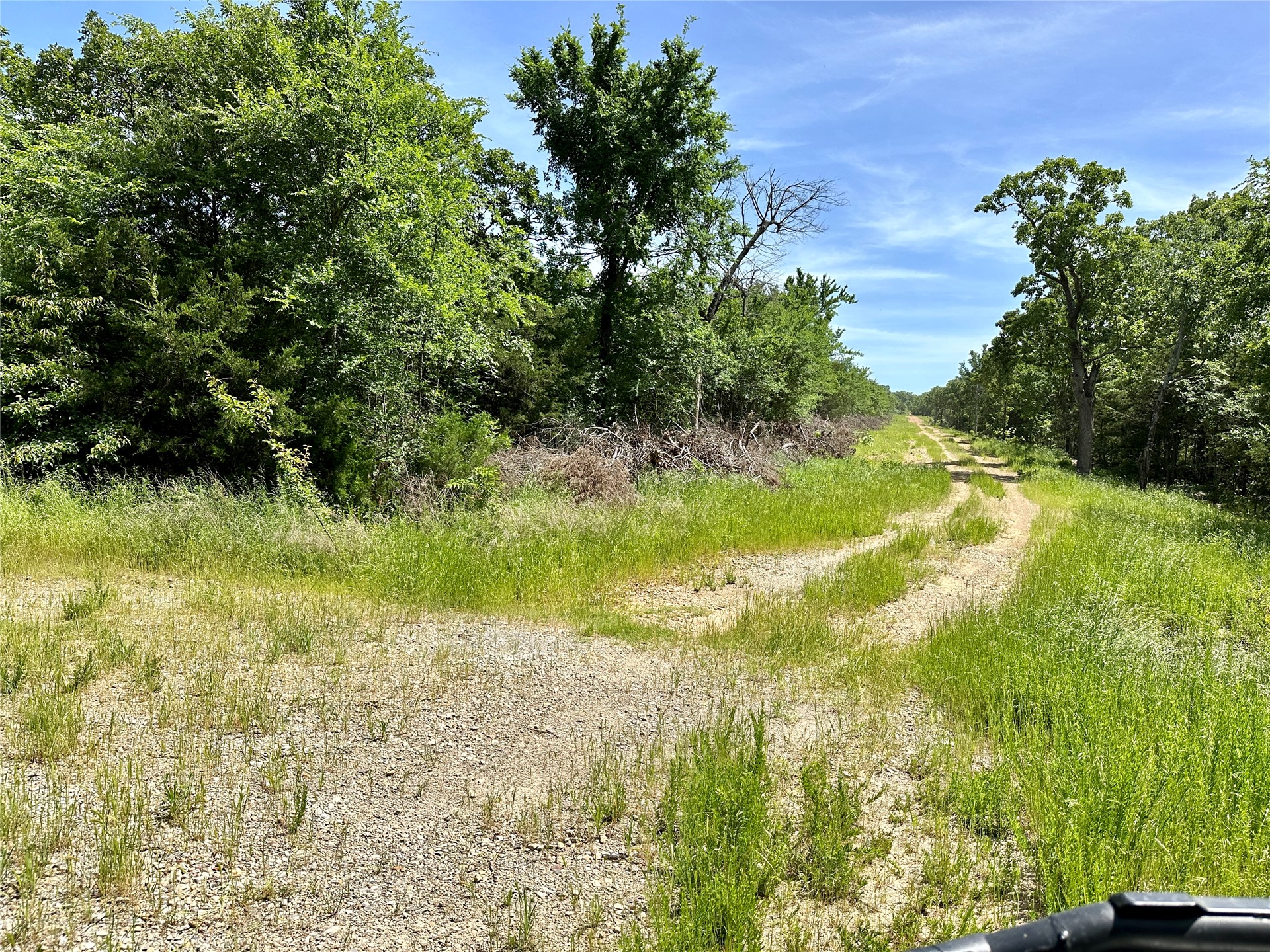 623 Dozer Mountain Road Property Photo 36