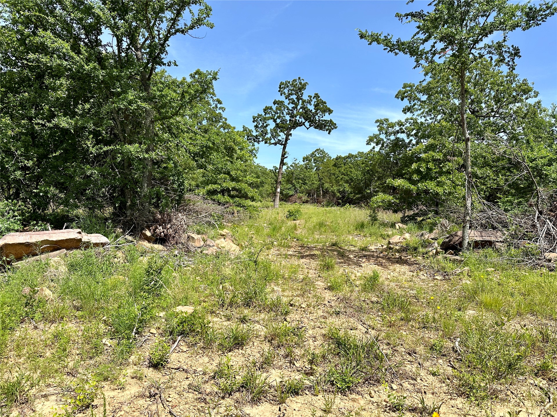 623 Dozer Mountain Road Property Photo 37