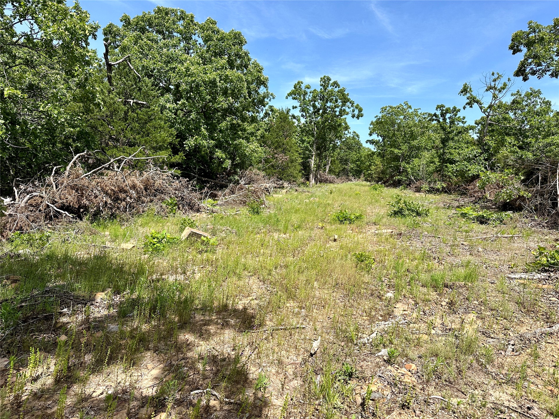 623 Dozer Mountain Road Property Photo 38